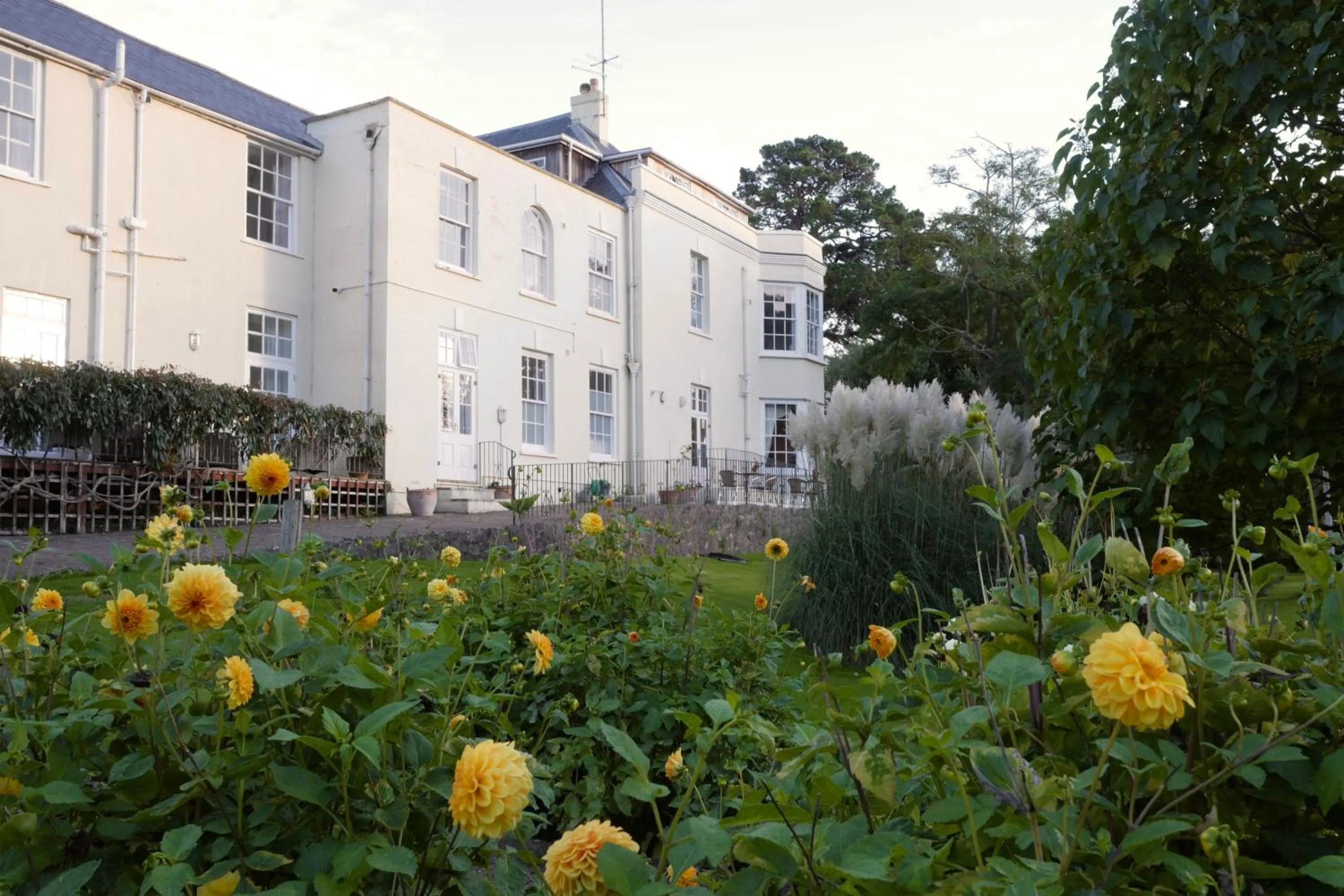 Garden in Hunters Moon Hotel