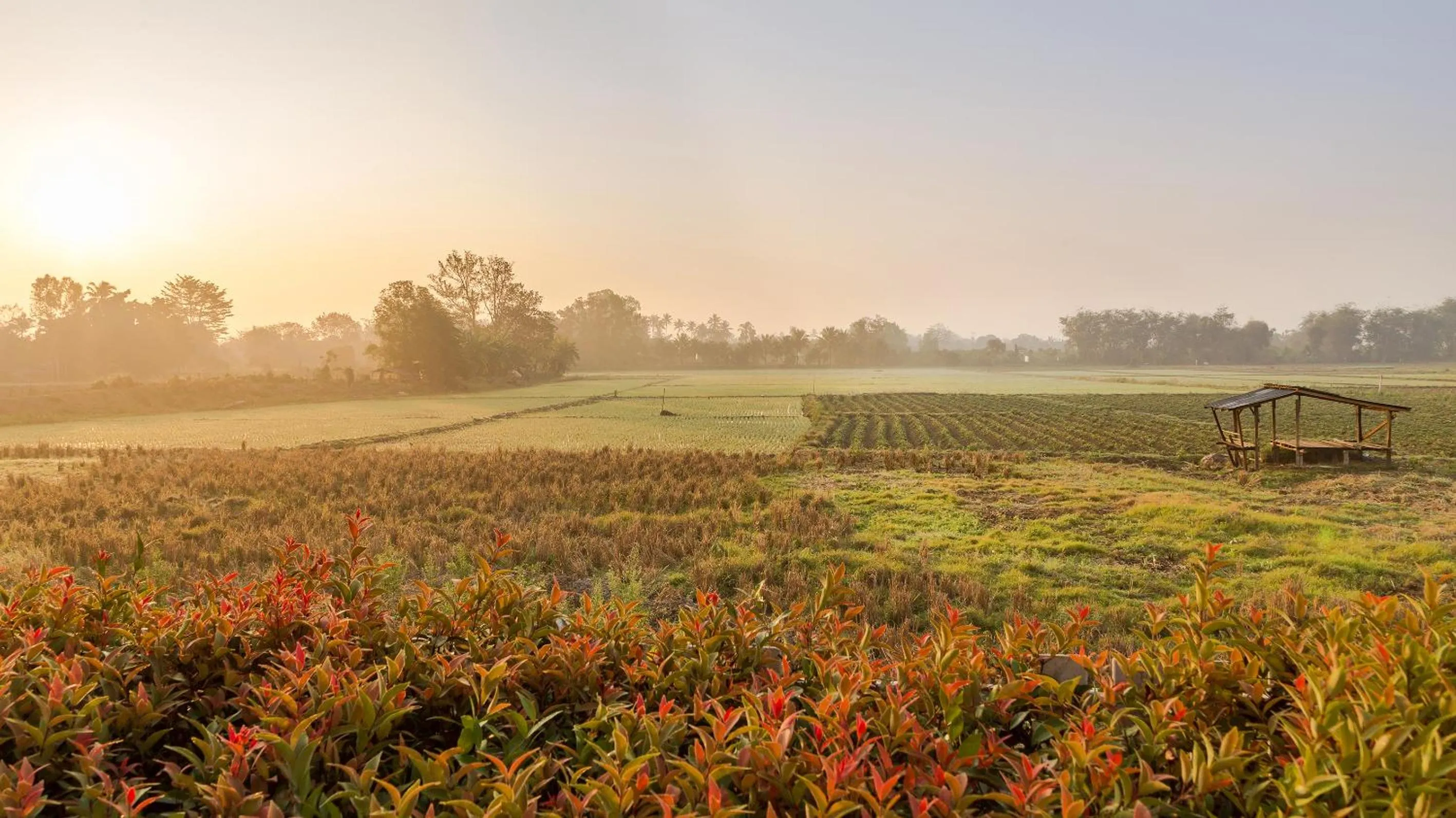 View (from property/room) in KYP Khunyuw Place Hotel โรงแรมเควายพี ขุนยูวเพลส ฝาง