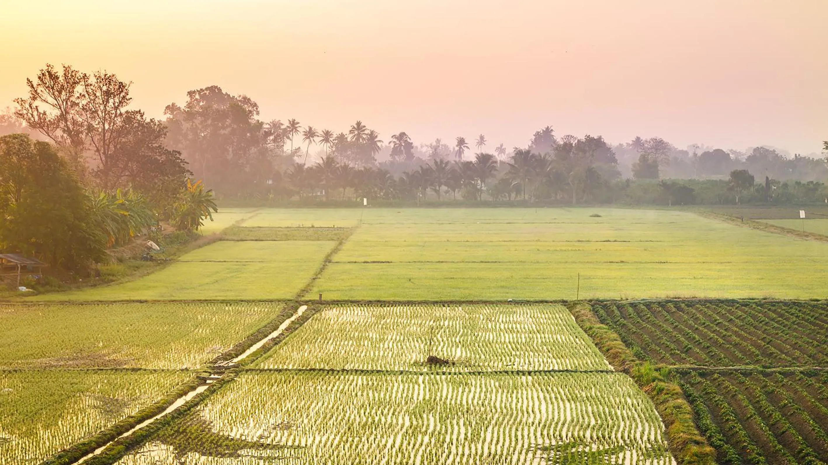 Natural landscape in KYP Khunyuw Place Hotel โรงแรมเควายพี ขุนยูวเพลส ฝาง