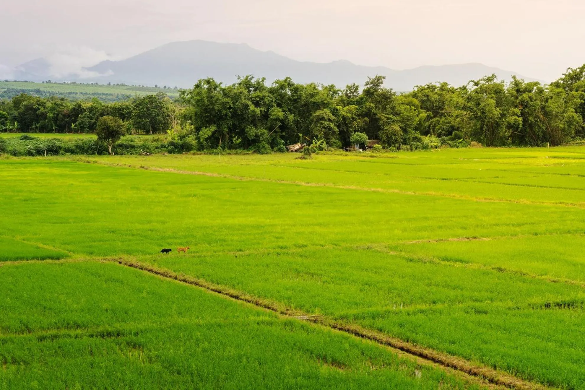 Property building in KYP Khunyuw Place Hotel โรงแรมเควายพี ขุนยูวเพลส ฝาง