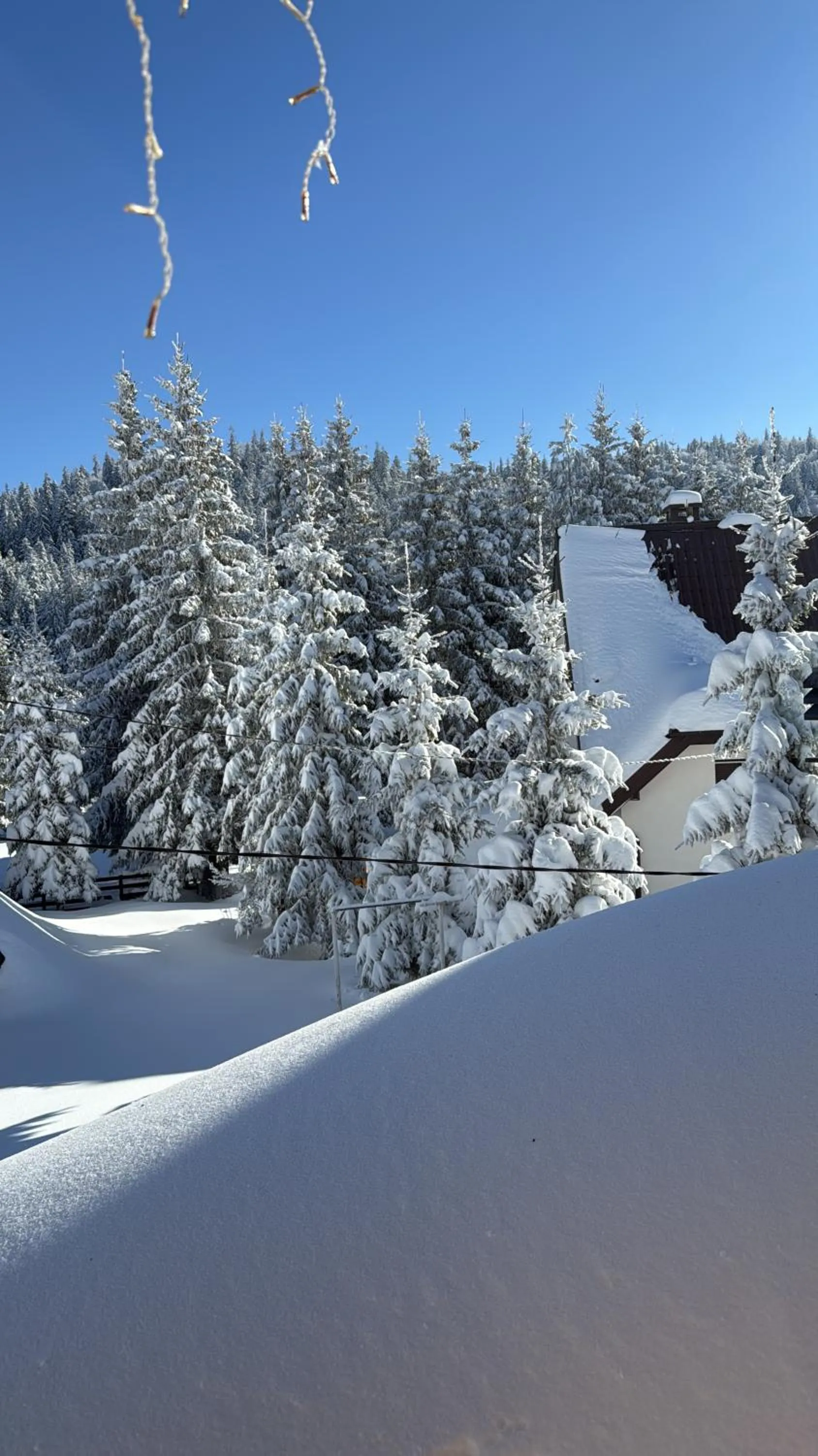 Winter in Alpha Ski Apartmani