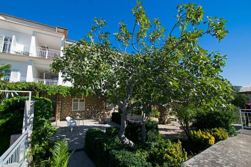 Apartment Duda