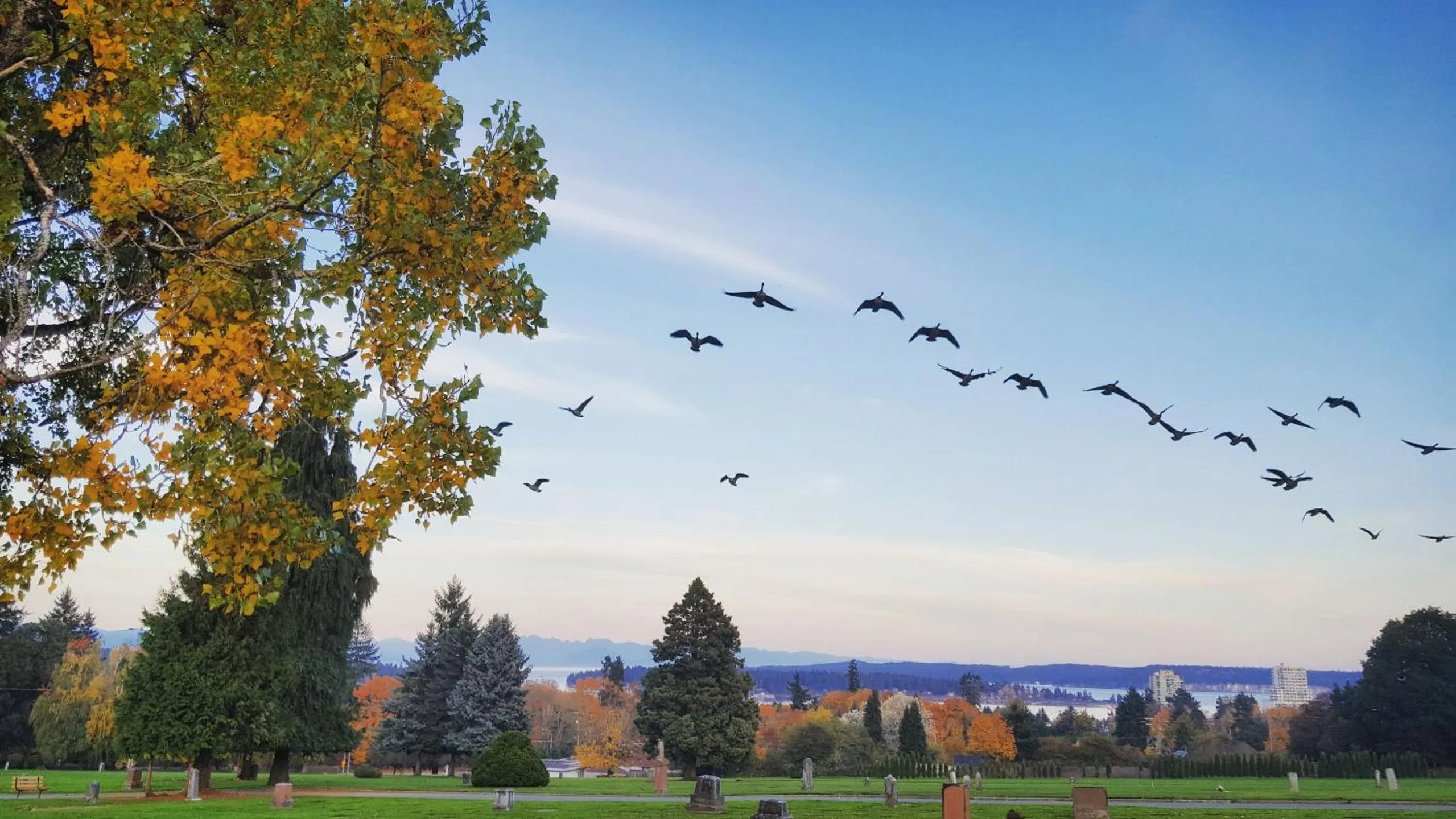 Sea view in AnnArthur Guest House