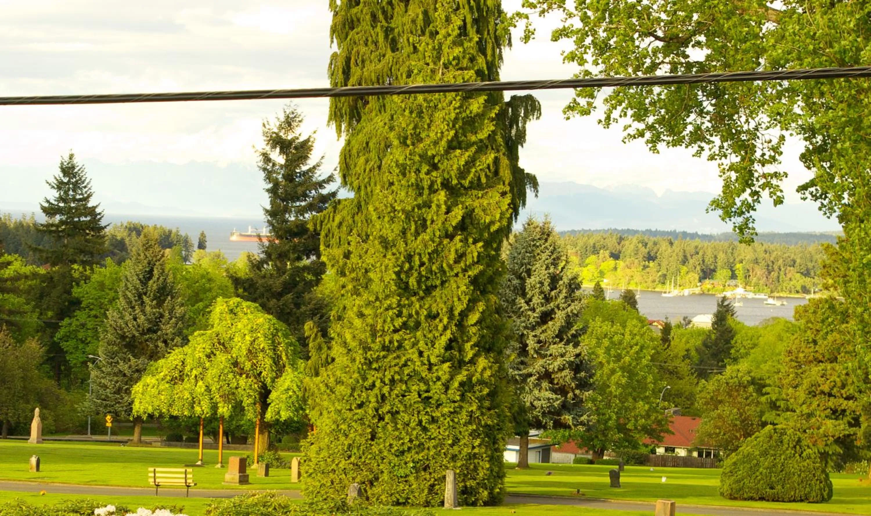 Nearby landmark in AnnArthur Guest House