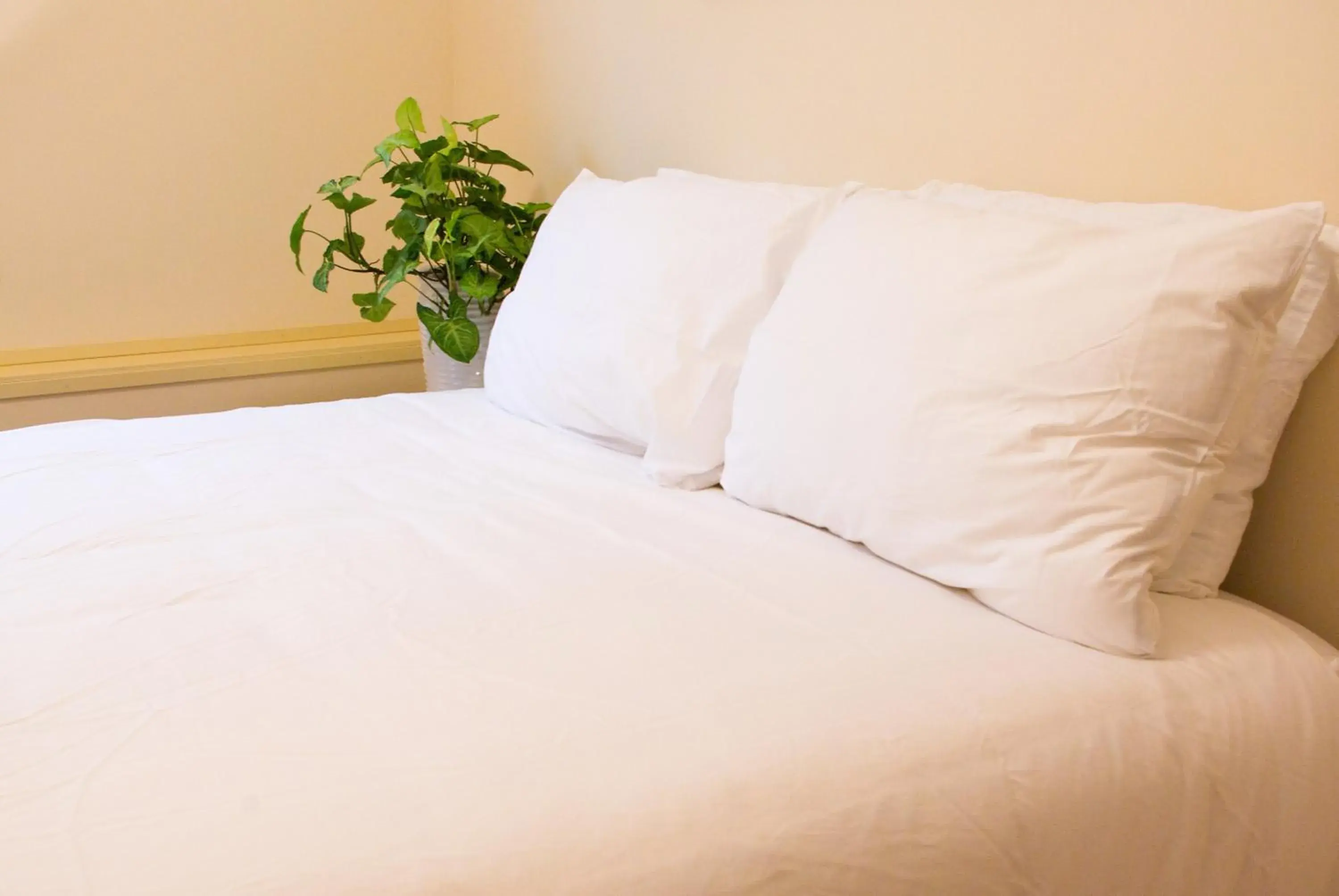 AnnArthur Guest House AnnArthur Guest House