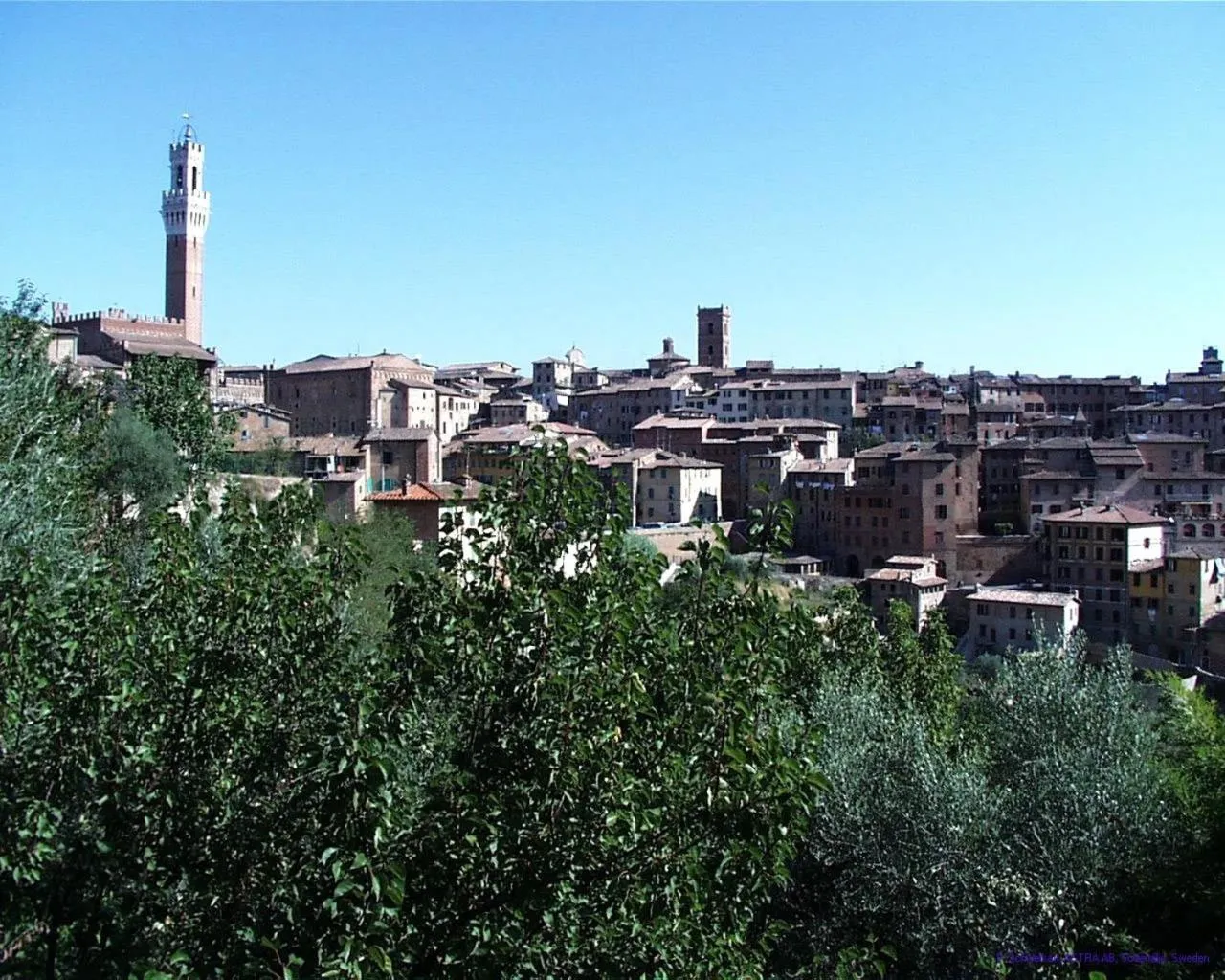 Area and facilities in Bed & Breakfast Camollia