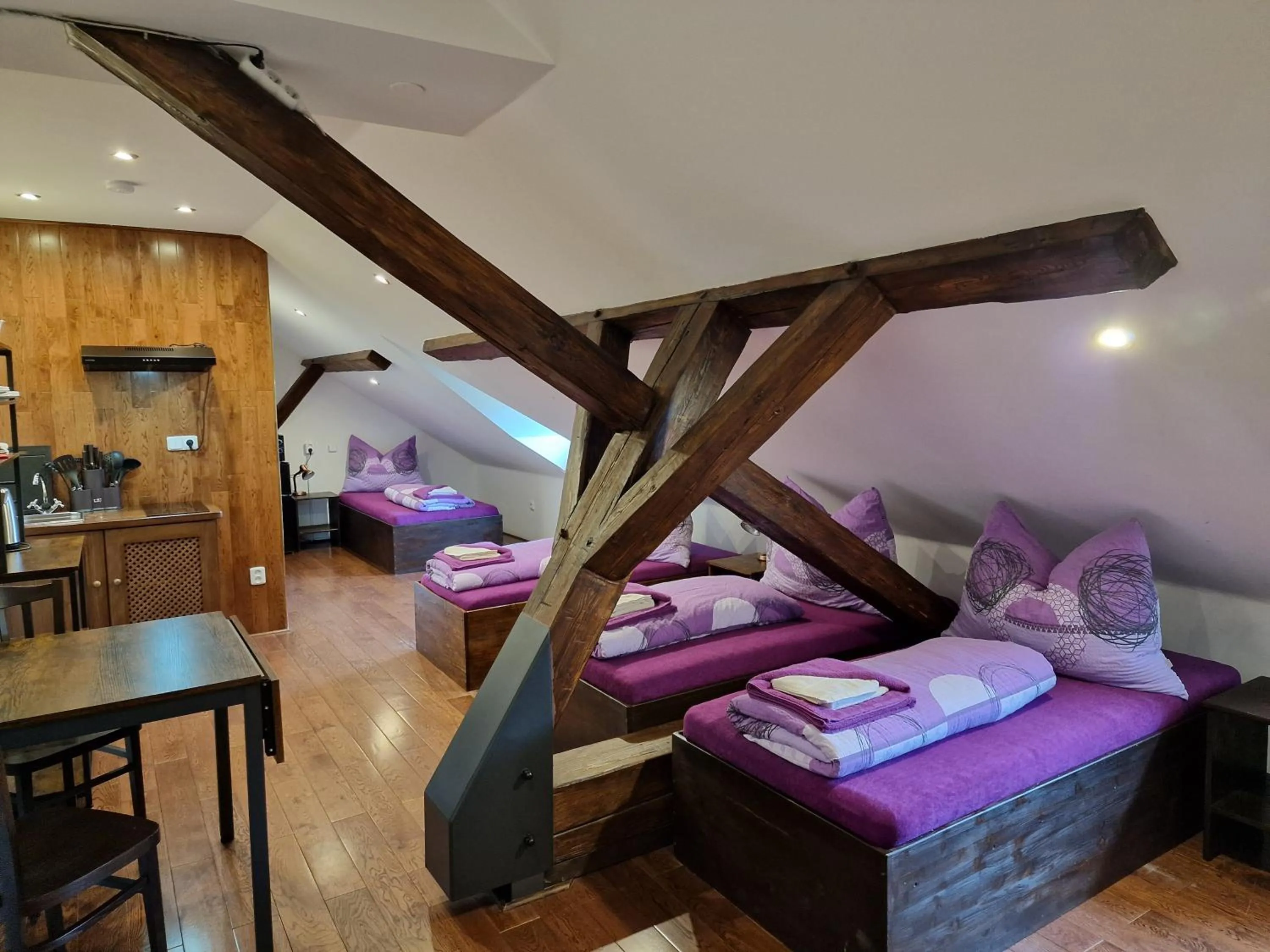 Standard Family Room - single occupancy in Vlčí Jámy