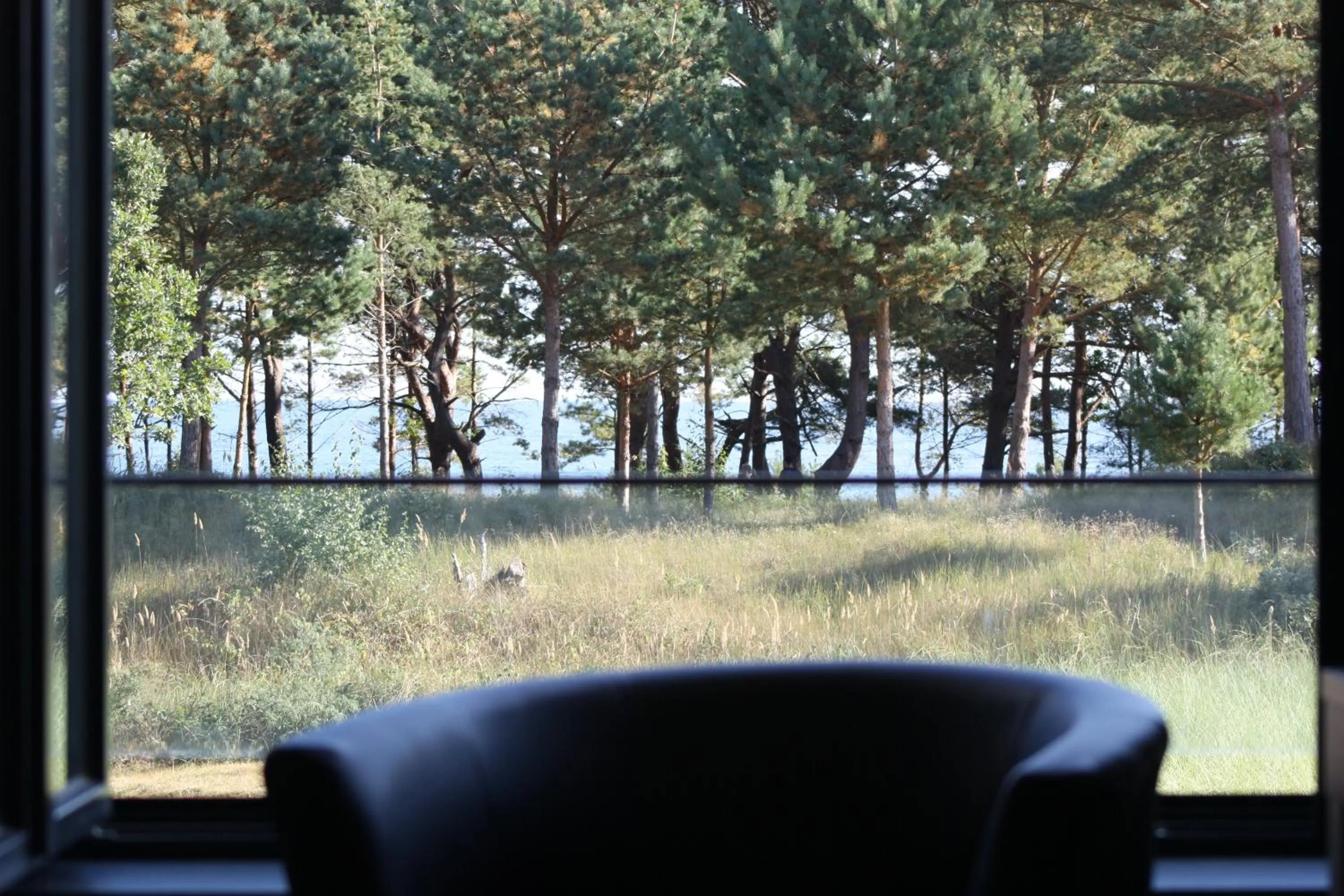 View (from property/room) in Prora Solitaire Apartment mit Meerblick Block 2