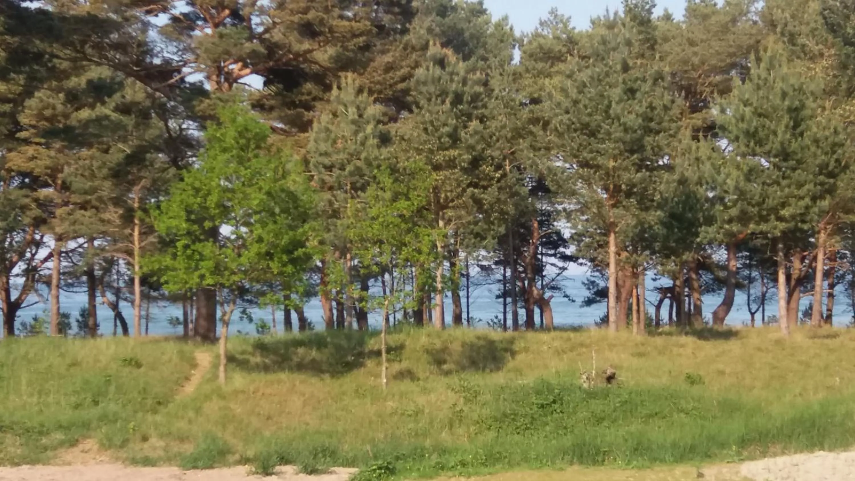 Sea view in Prora Solitaire Apartment mit Meerblick Block 2