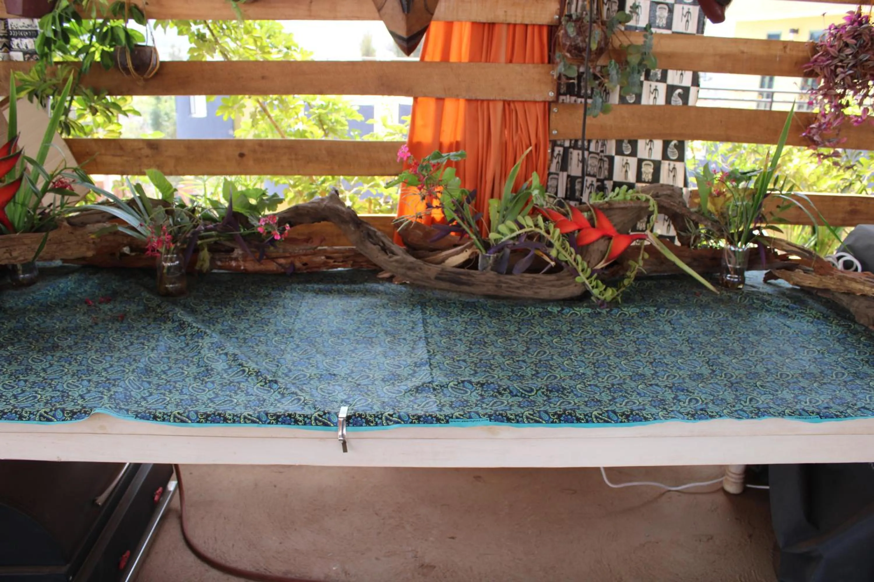 Patio in Umusambi B&B