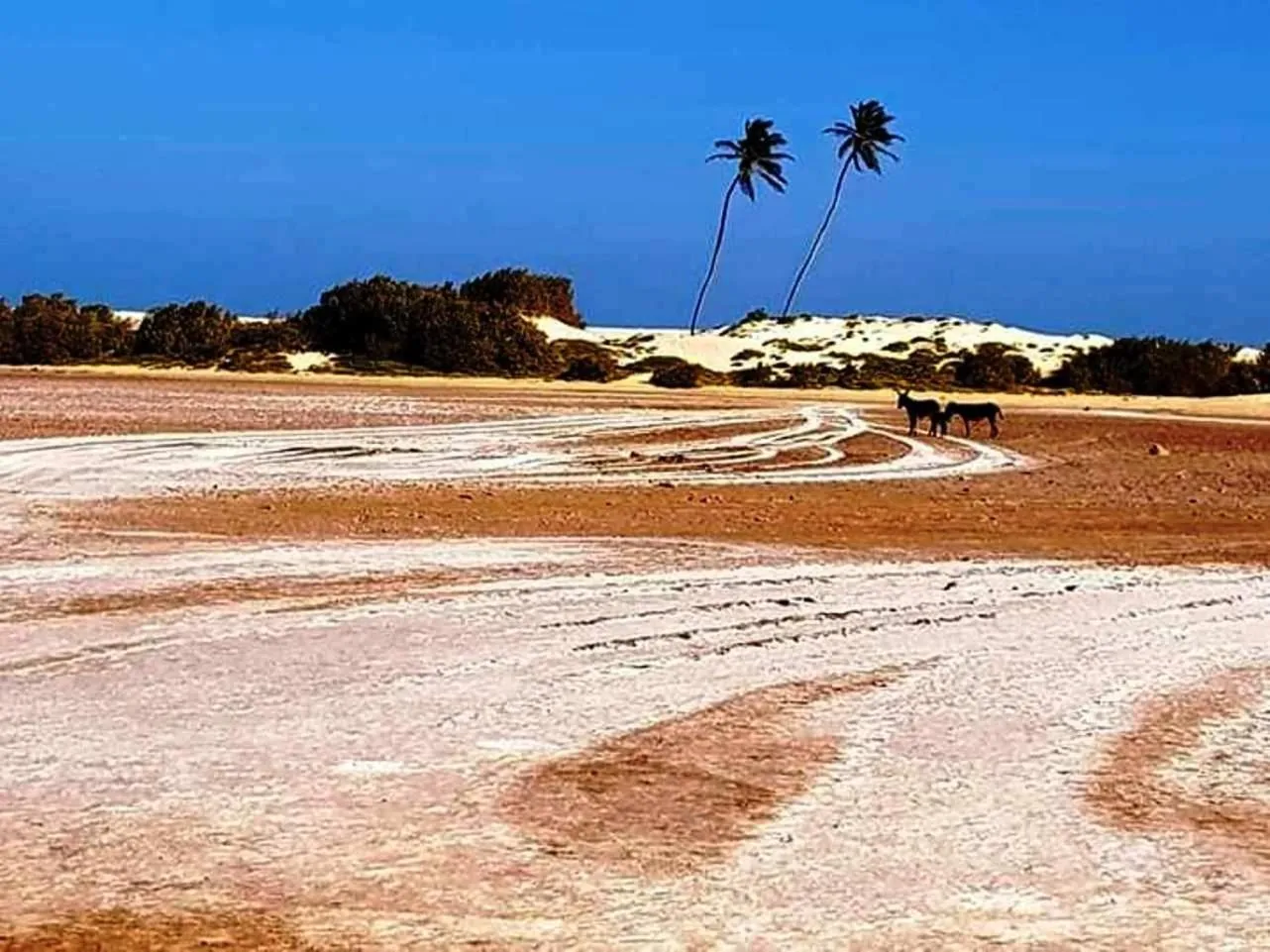 Nearby landmark in Apart-Hotel Ca Elsa