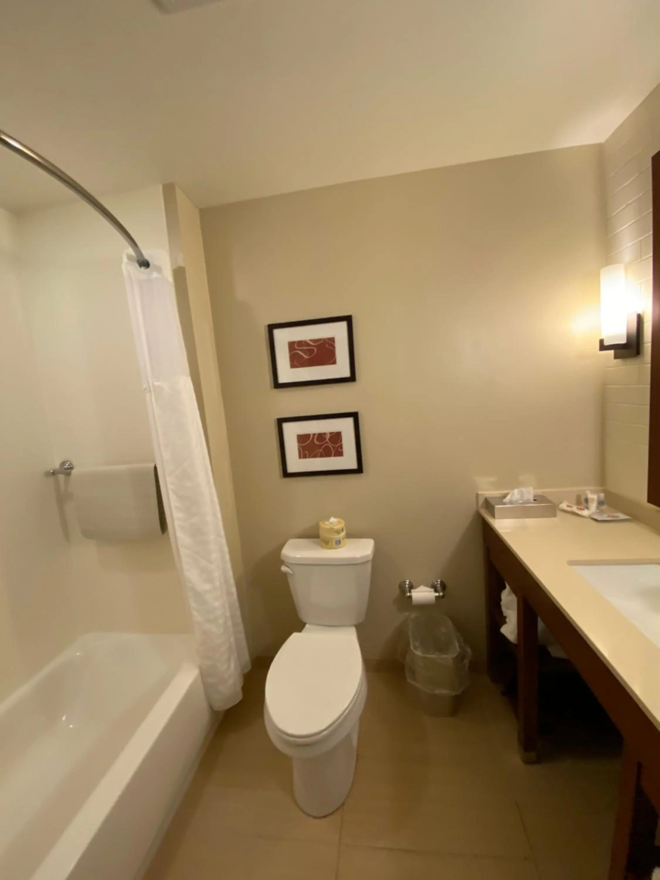 Bath in Comfort Suites Manheim - Lancaster
