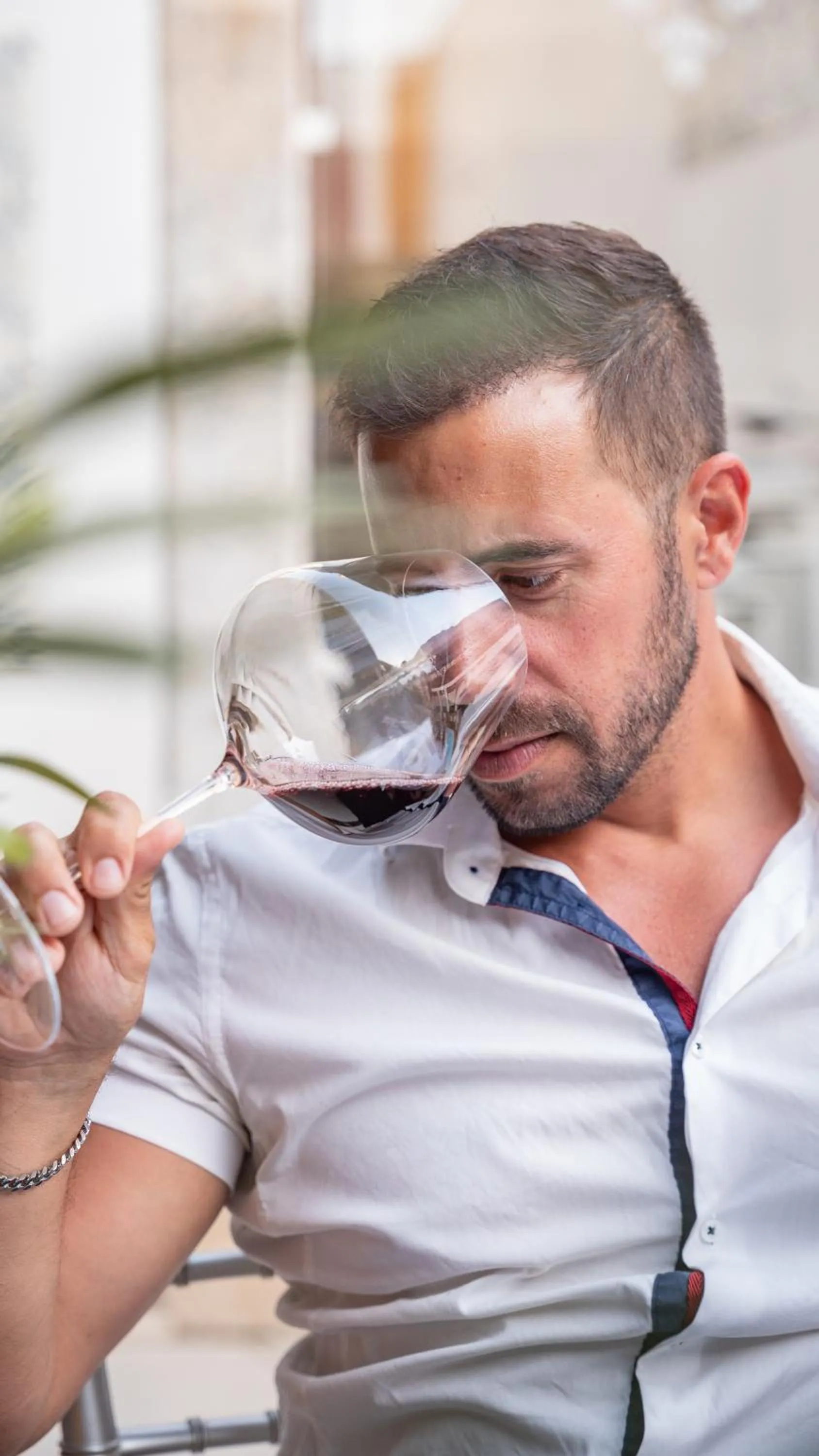 Opus One Luxury Guest House & Wine