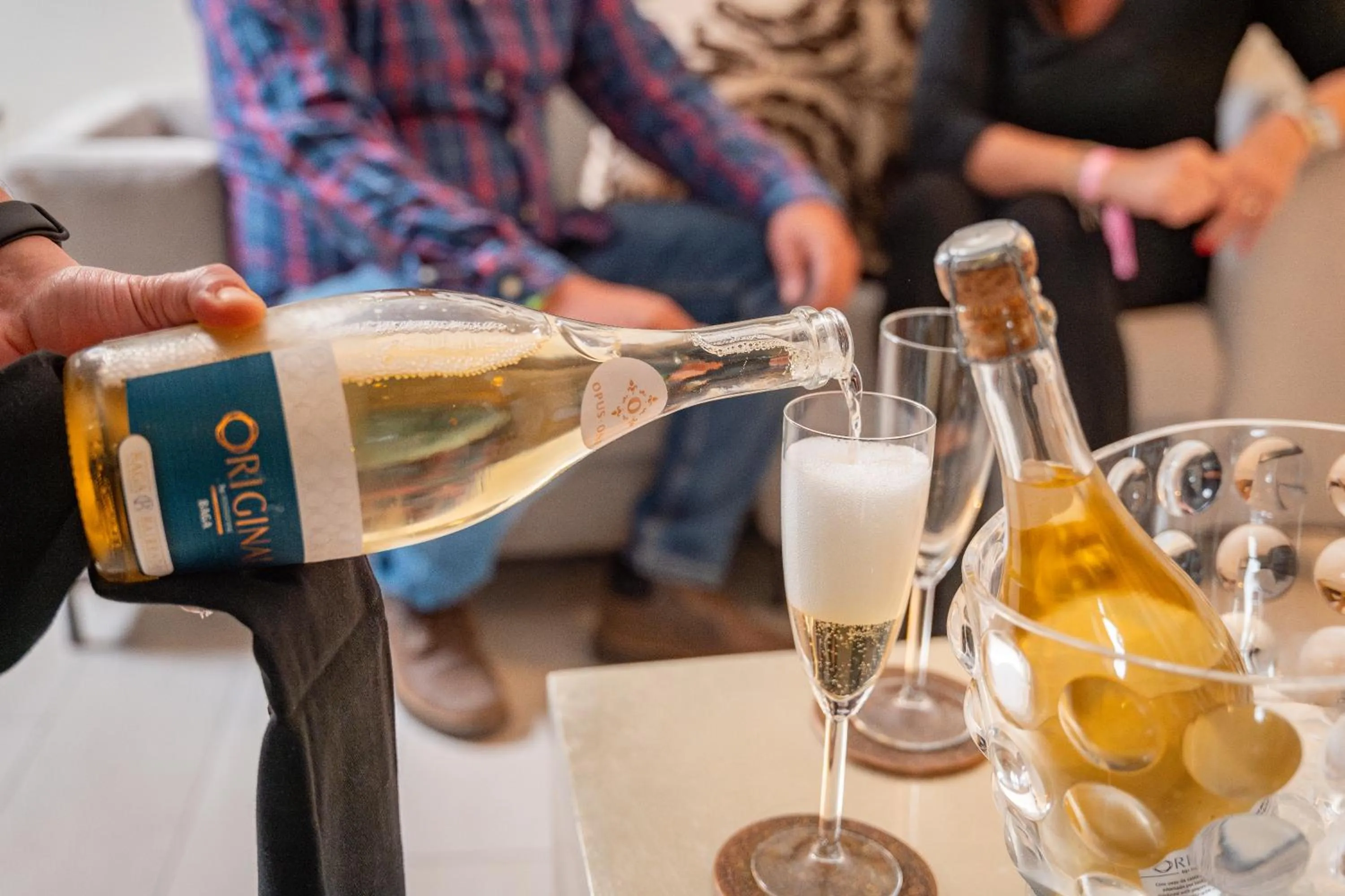 Opus One Luxury Guest House & Wine