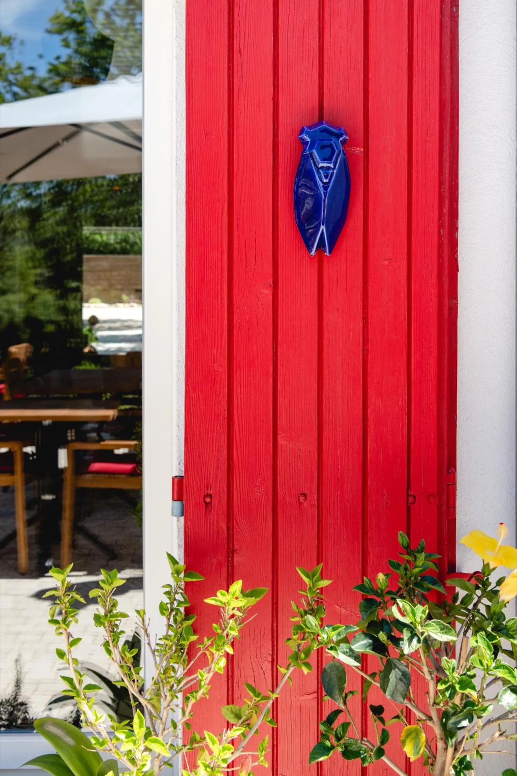 Garden in Les Volets Rouges - Hôtel Cassis - Situé dans le Parc National des Calanques