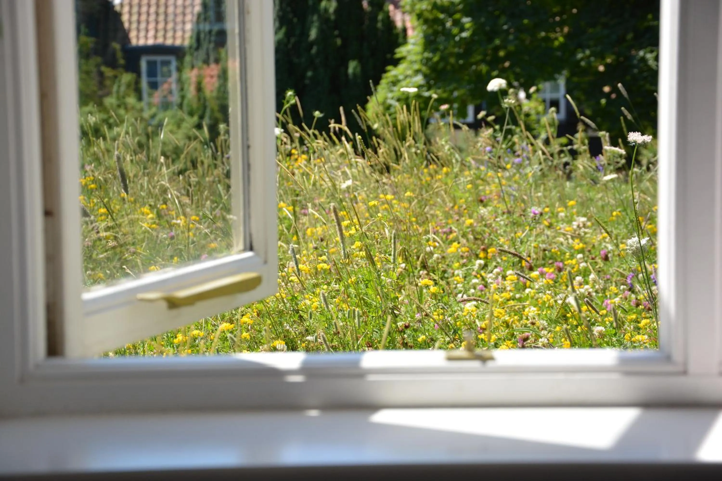 Garden in The Dolphin Inn
