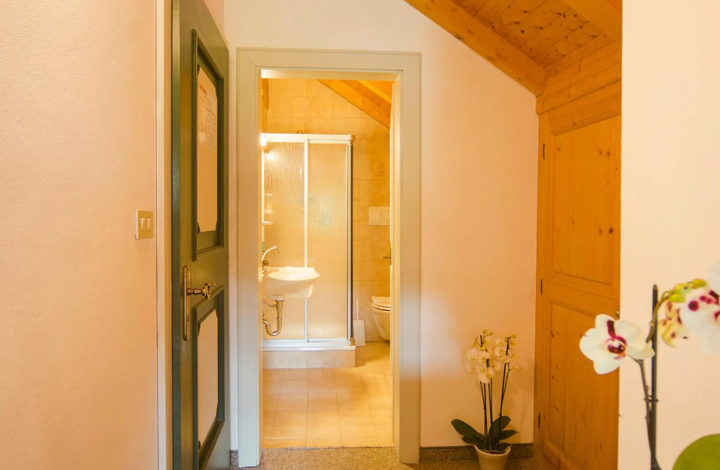 Shower in Berghotel Kason