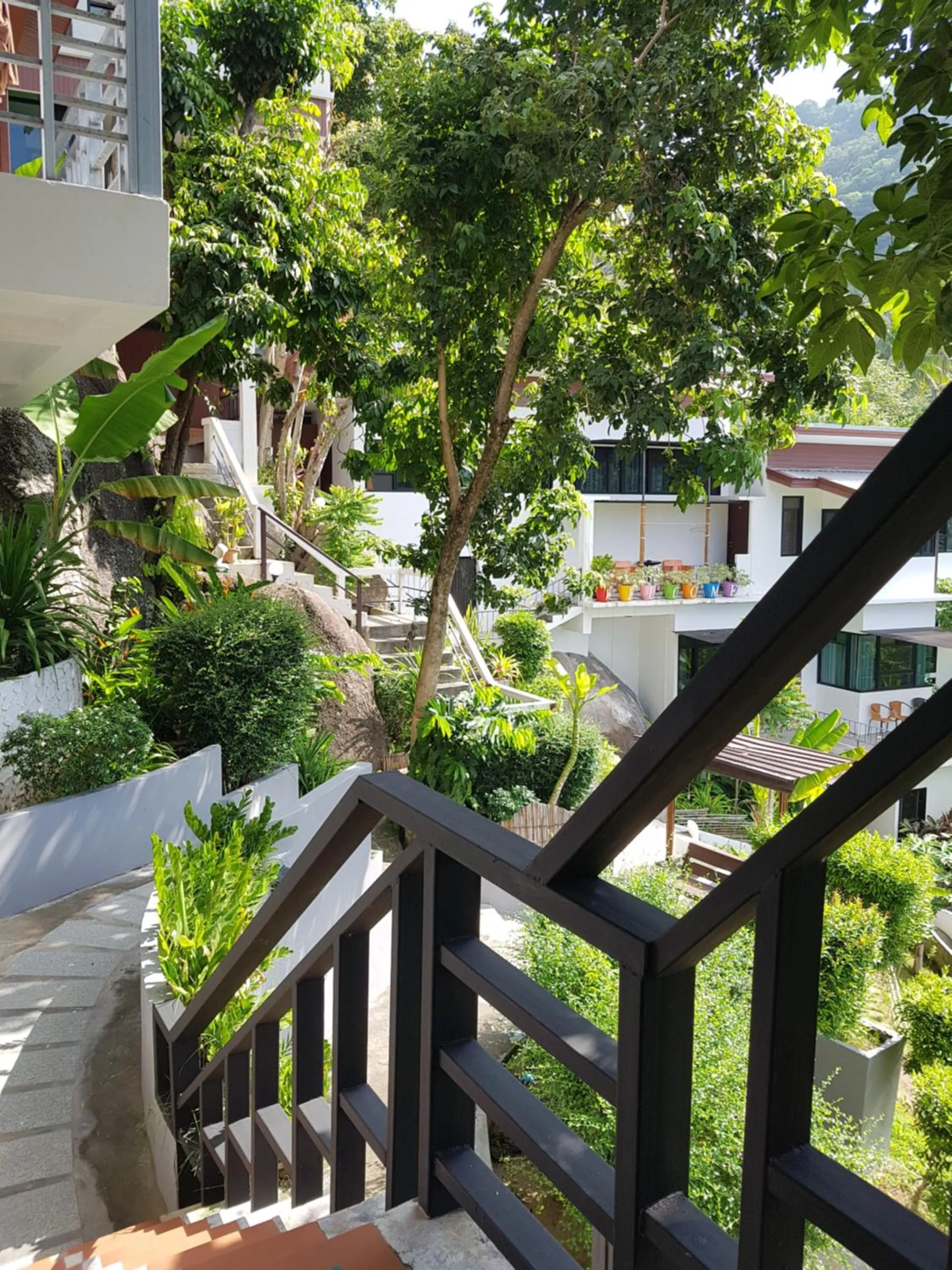 Garden view in Balcony Villa