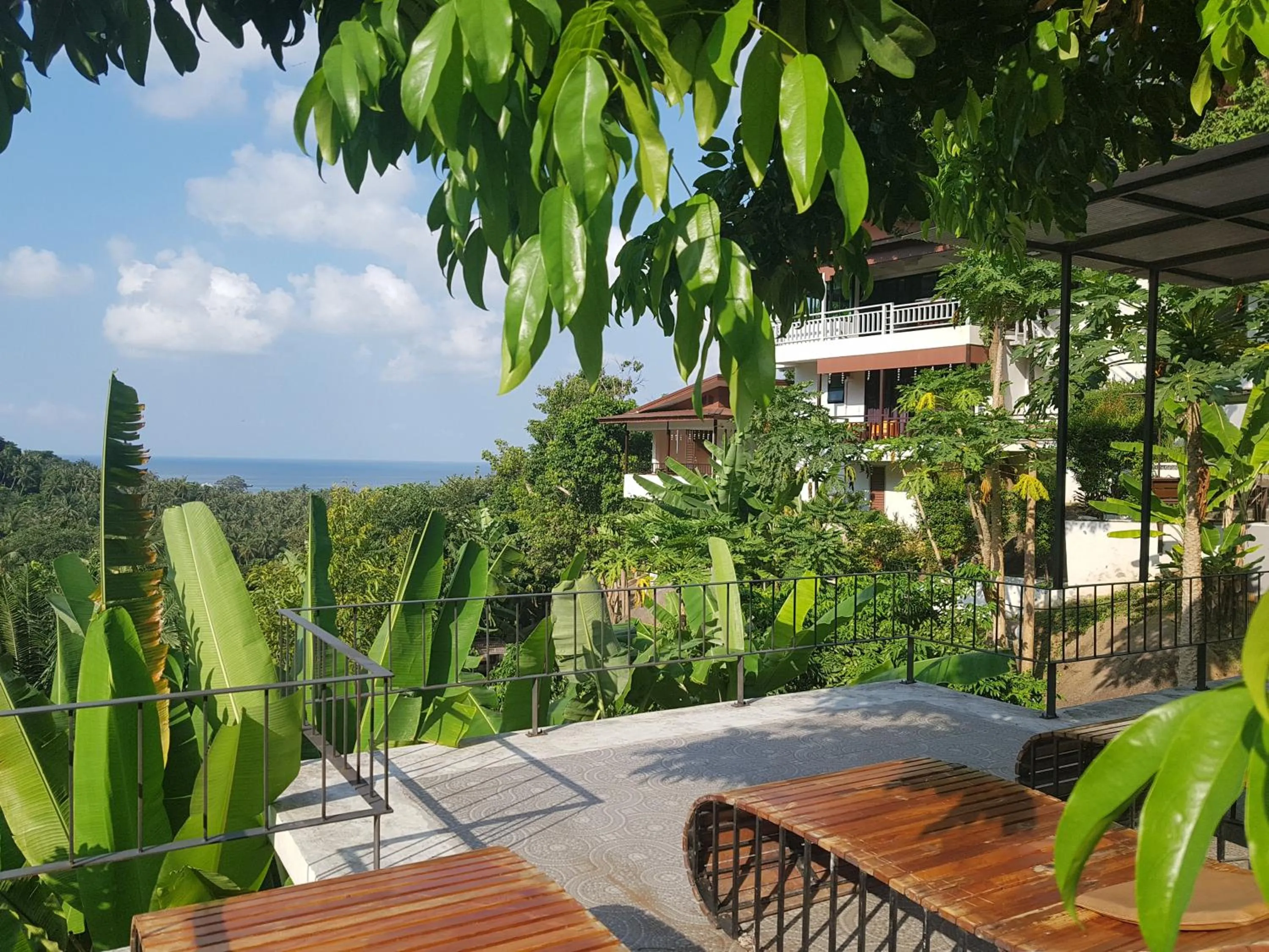Garden view in Balcony Villa