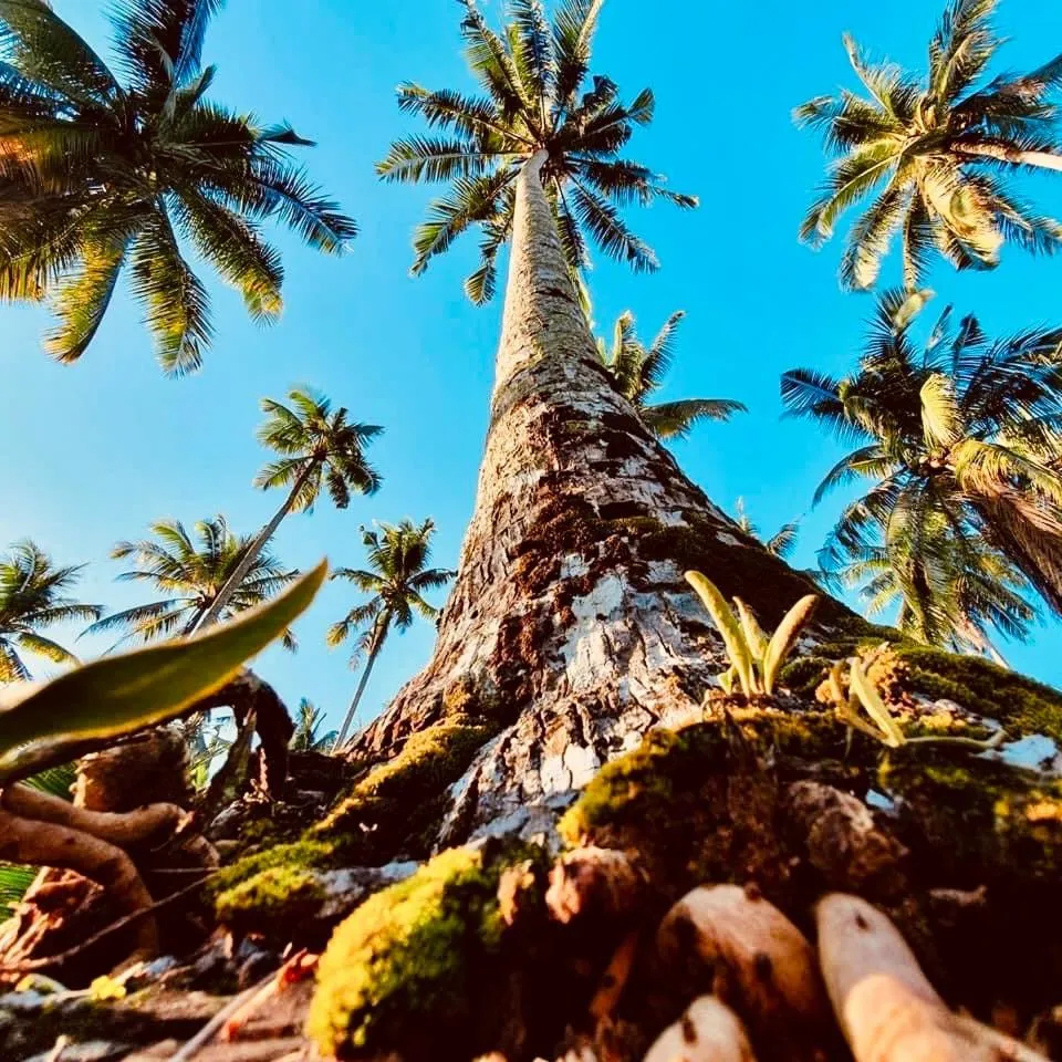 Suan Maprao Ko Kut Resort