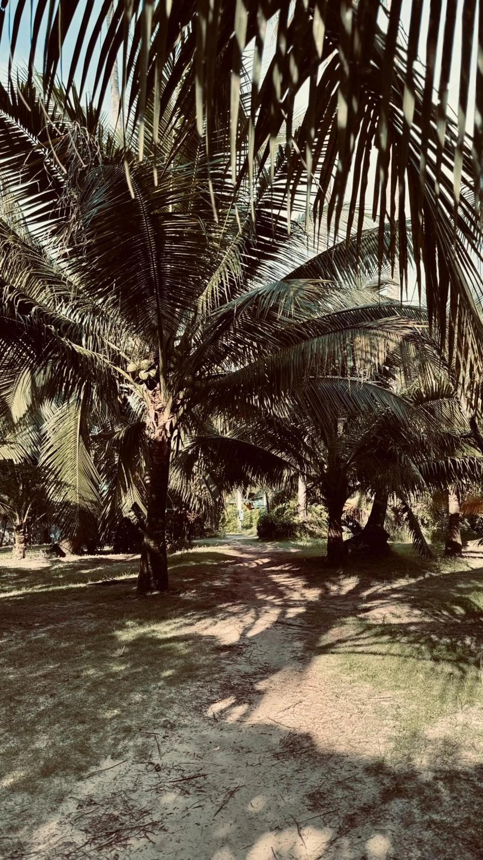 Suan Maprao Ko Kut Resort