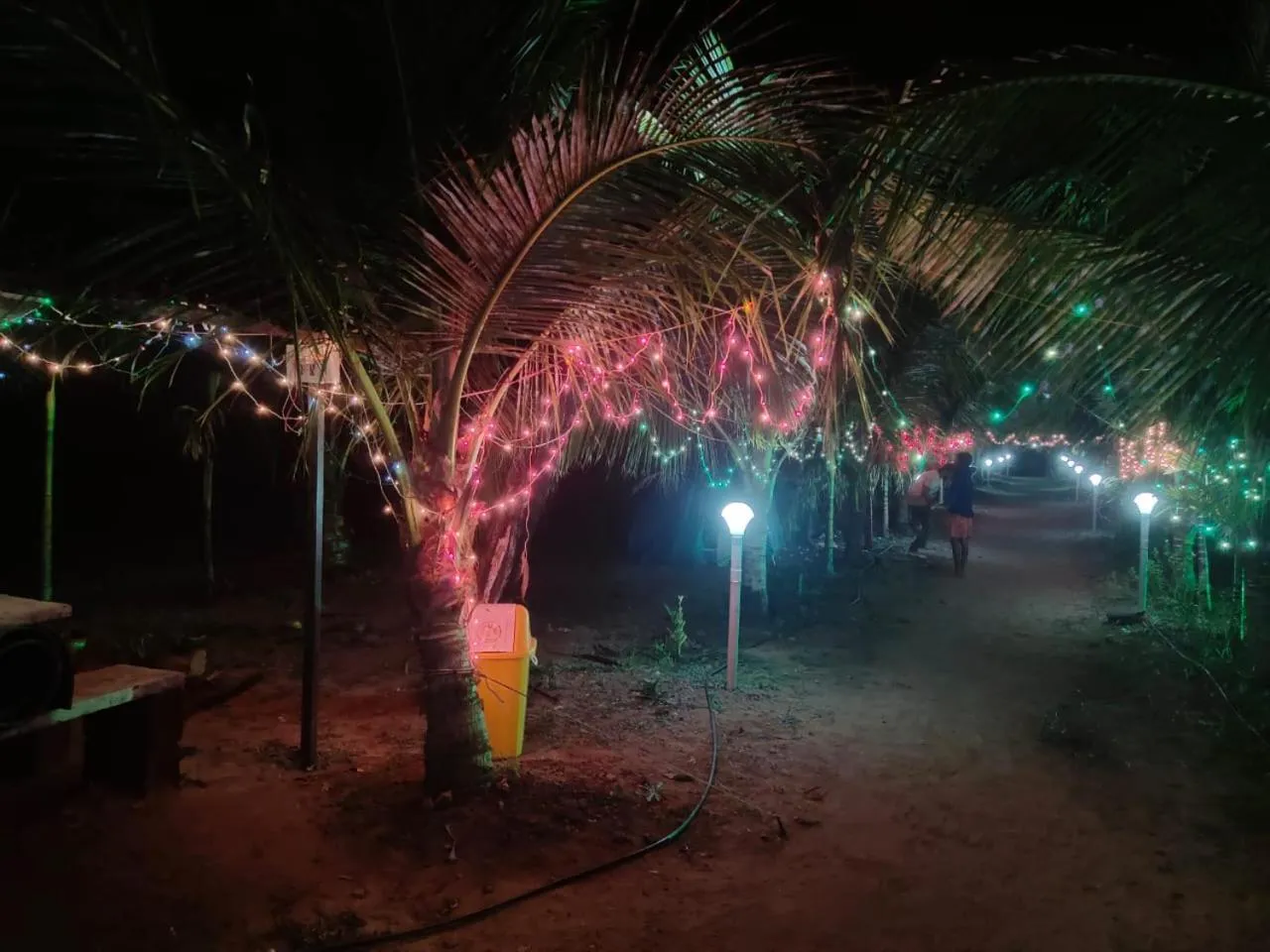 Evening entertainment in Whistling Waves Beach Resort