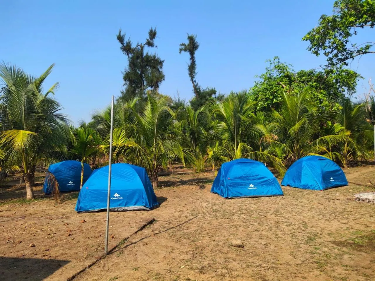 Entertainment in Whistling Waves Beach Resort