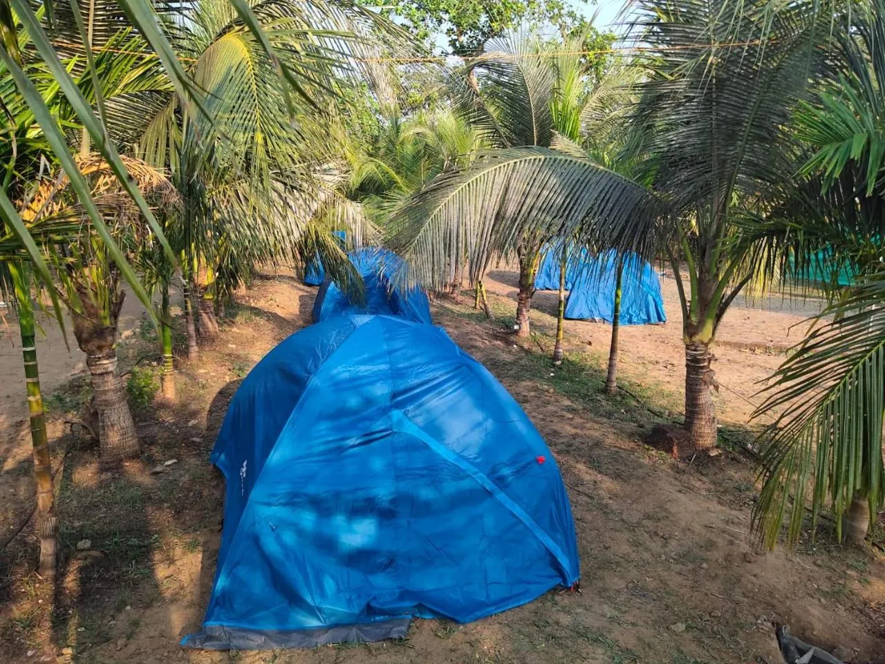 Entertainment in Whistling Waves Beach Resort