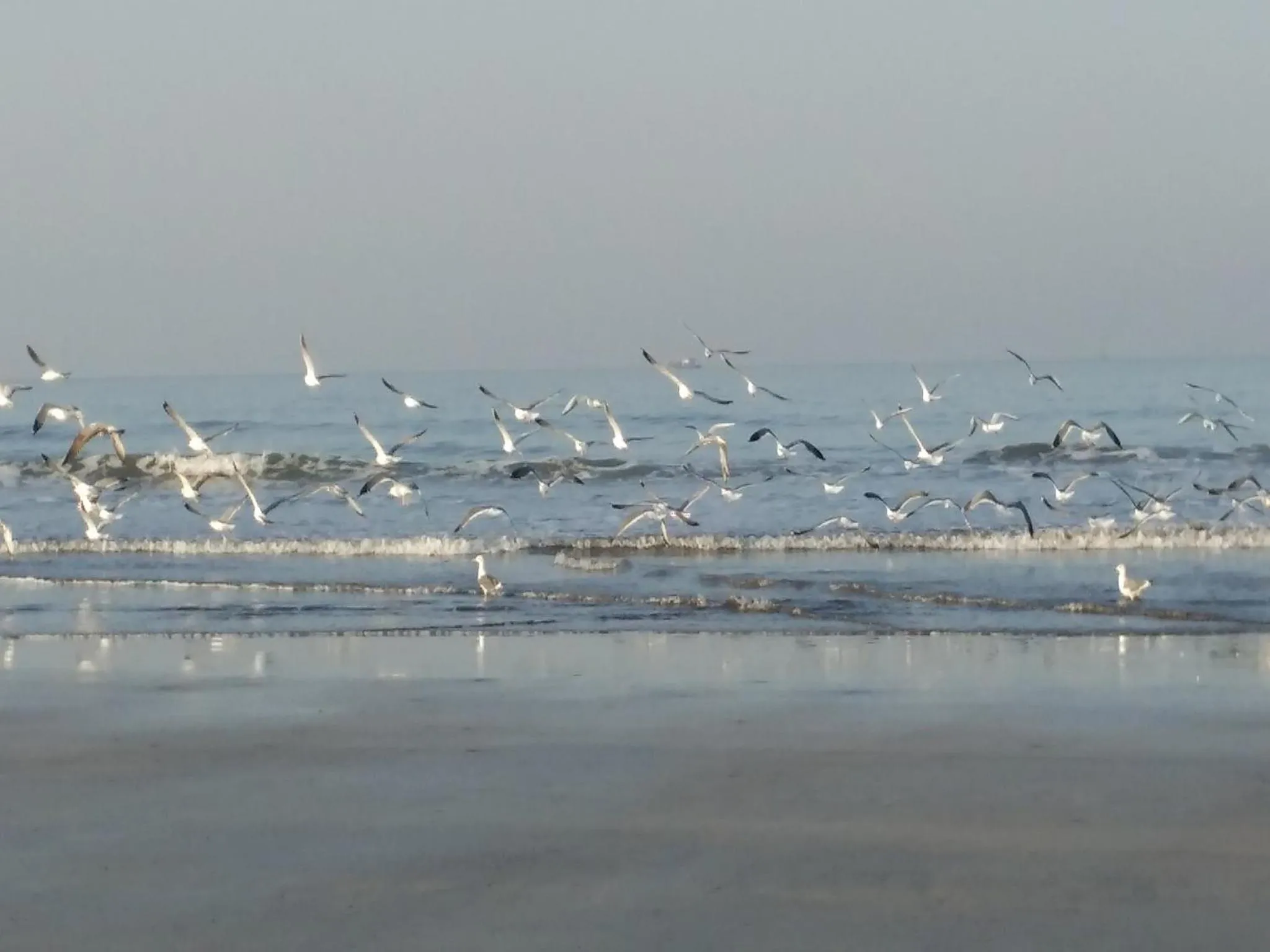 Beach in Whistling Waves Beach Resort