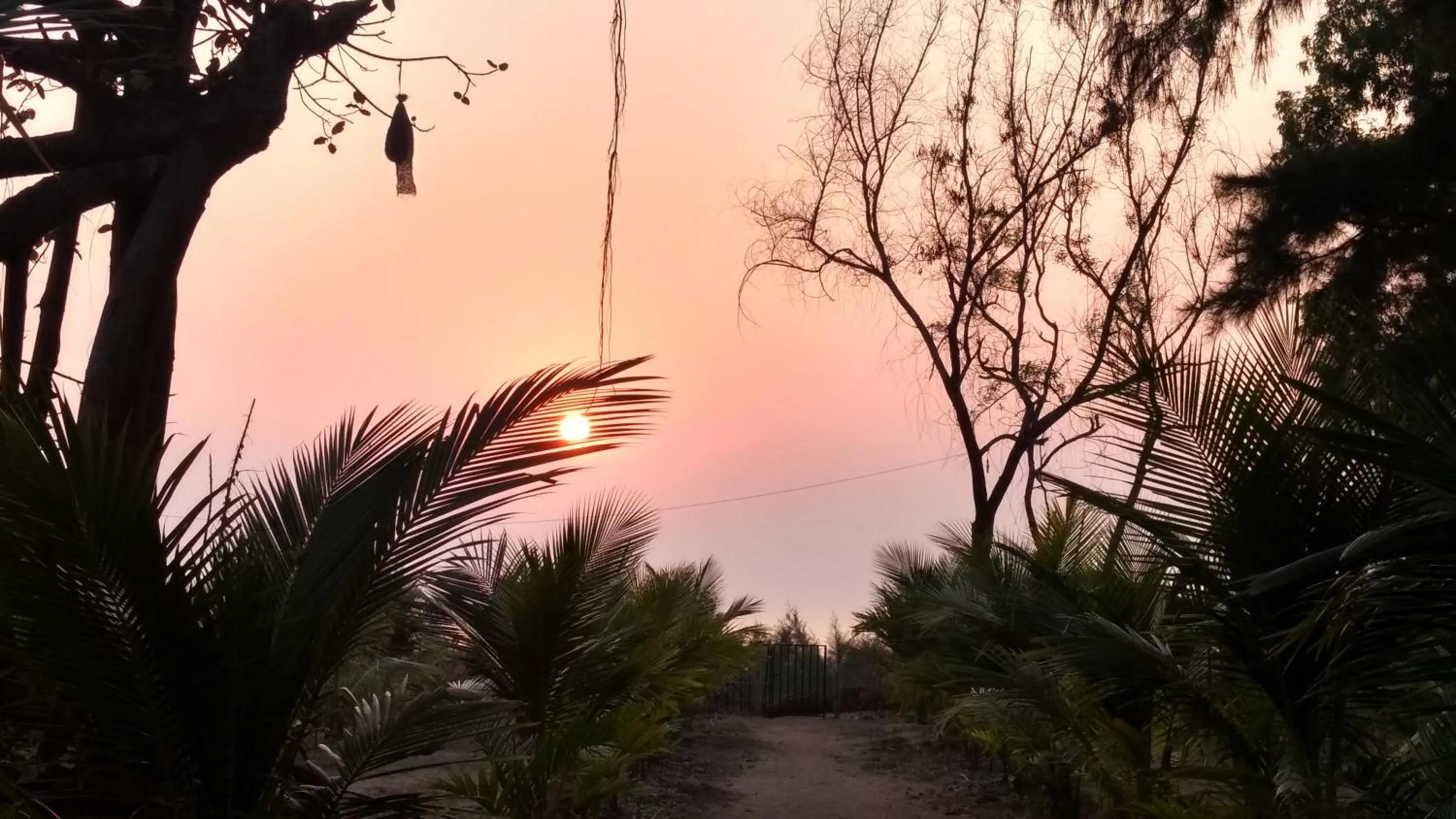 Beach in Whistling Waves Beach Resort