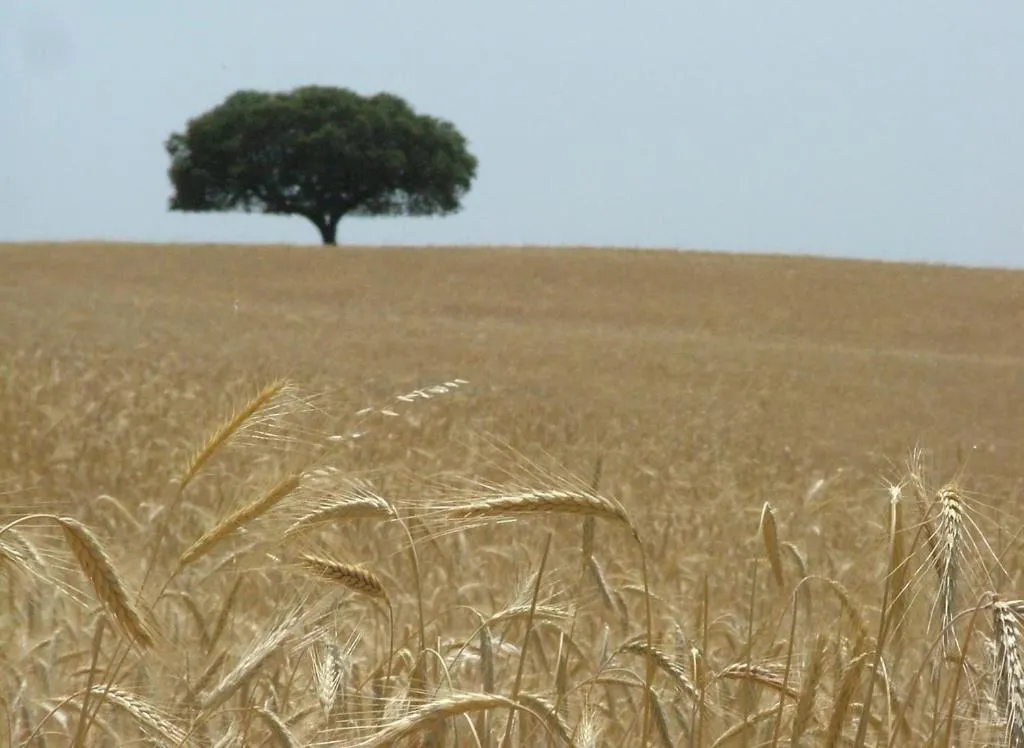 Hospedaria A Italiana