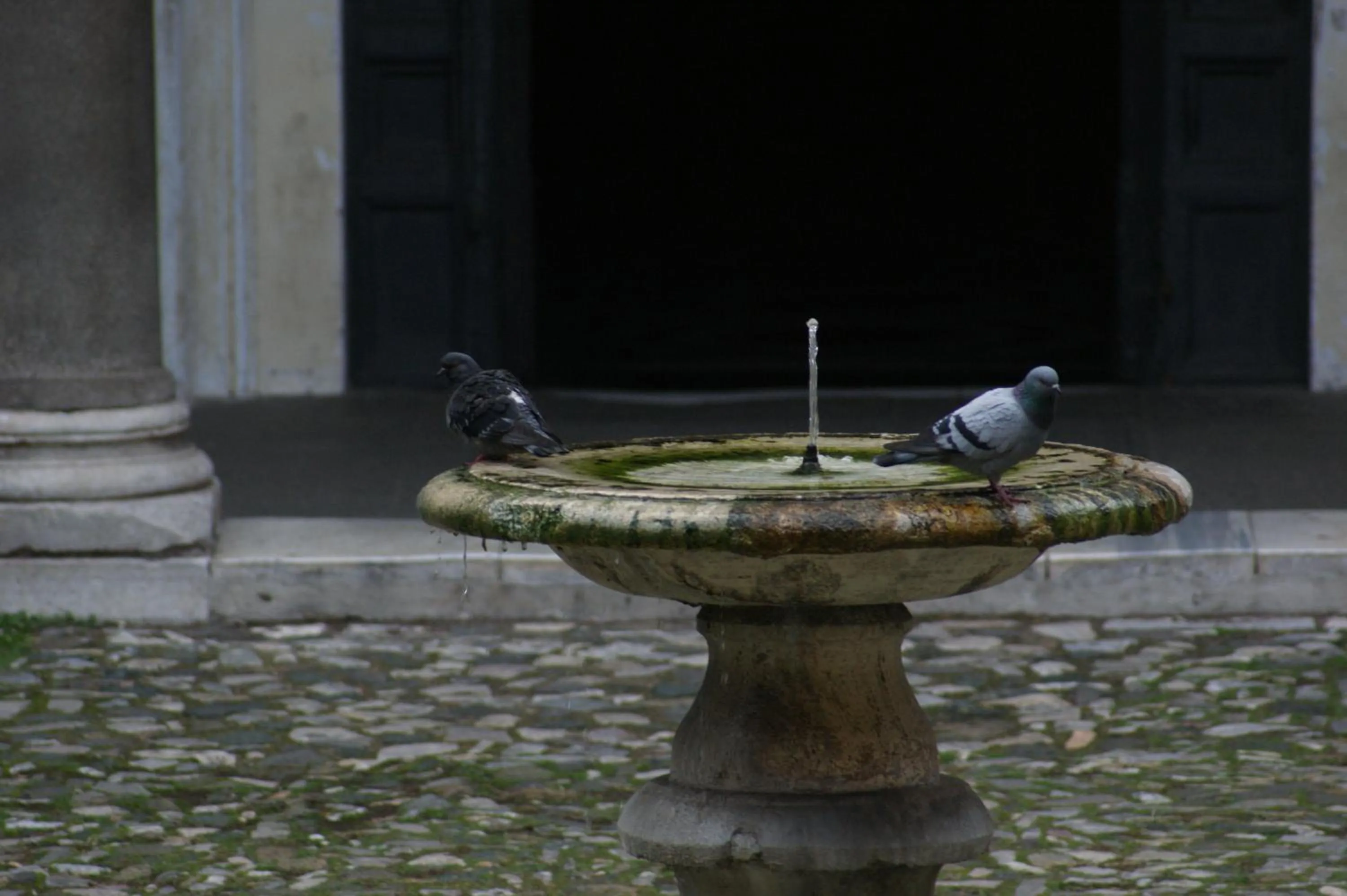 Bellezza Al Colosseo - B&B & Apts