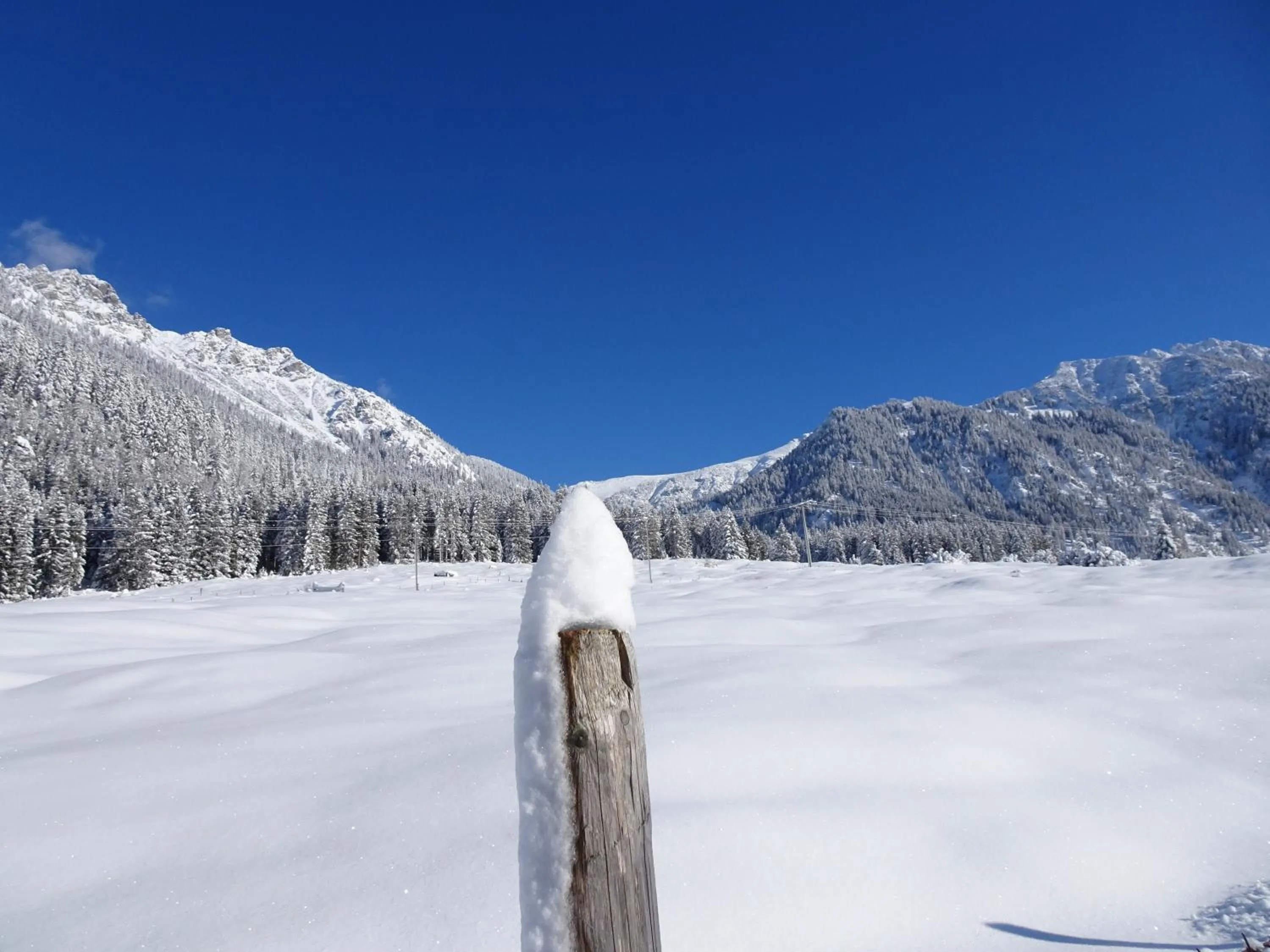 Natural landscape in Bergsteiger-Hotel "Grüner Hut"