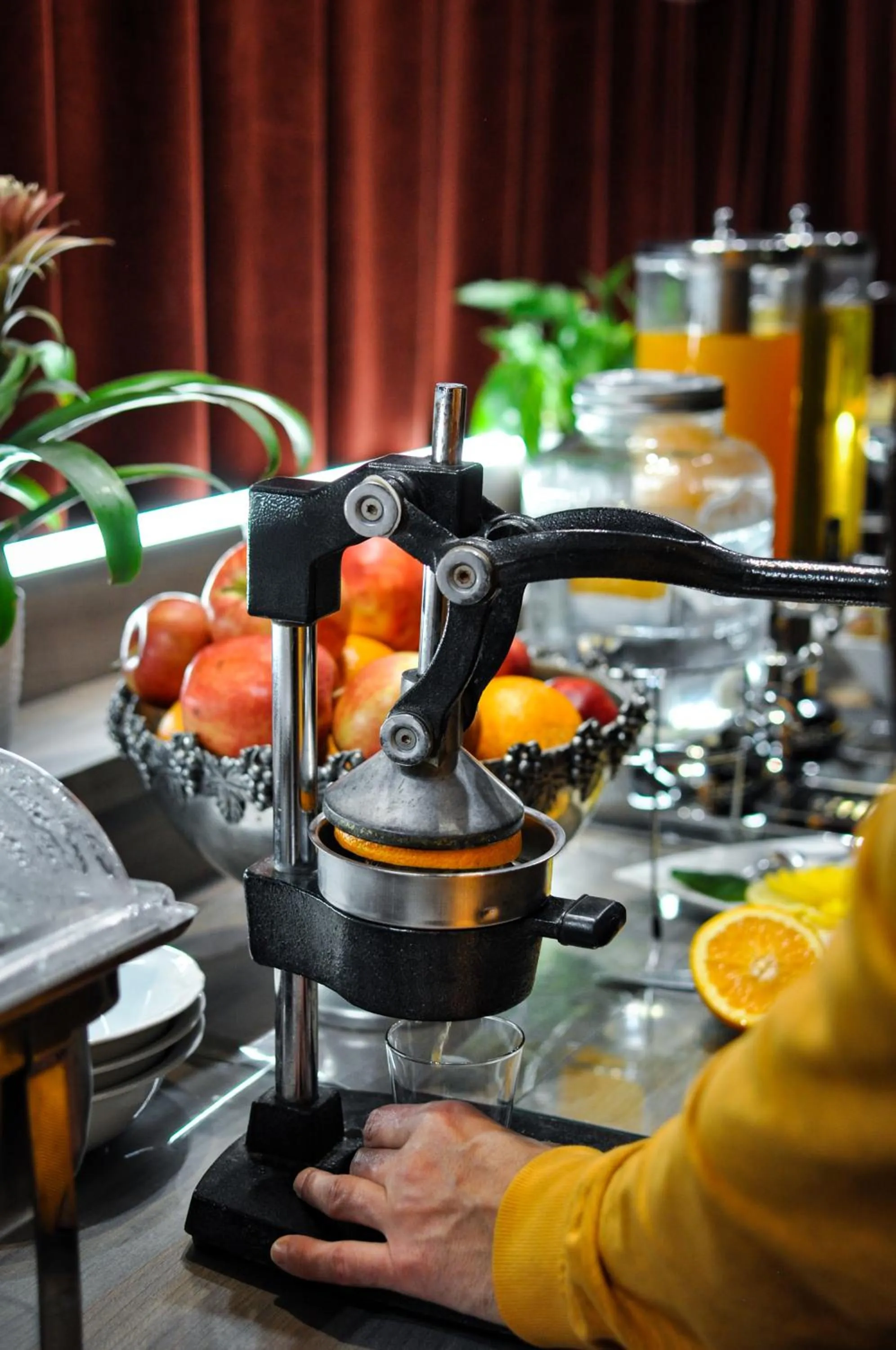 Food and drinks in Hotel Trzy Światy Spa & Wellness Rajska WySpa