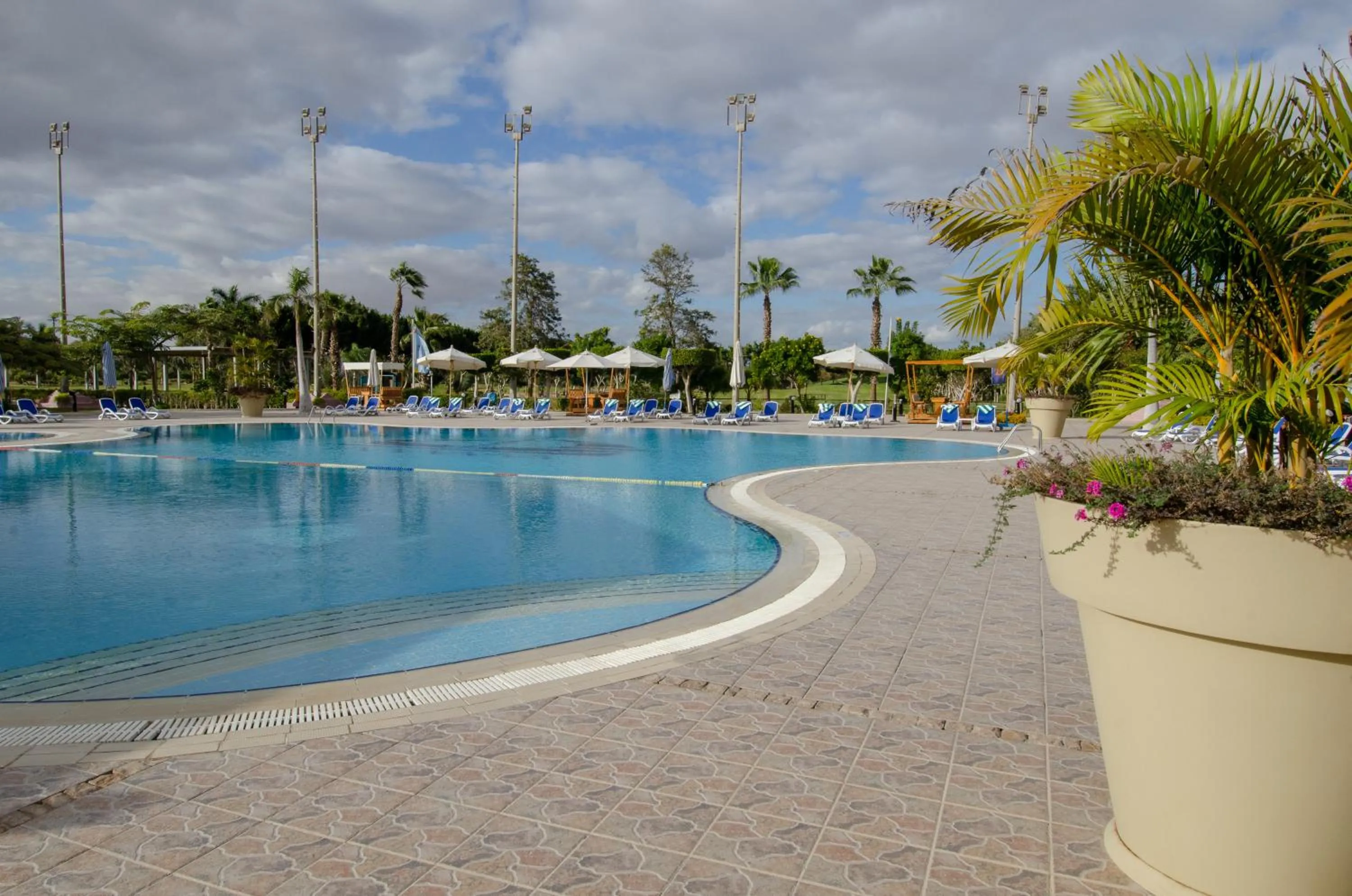 Swimming pool in Swiss Inn Pyramids Golf Resort