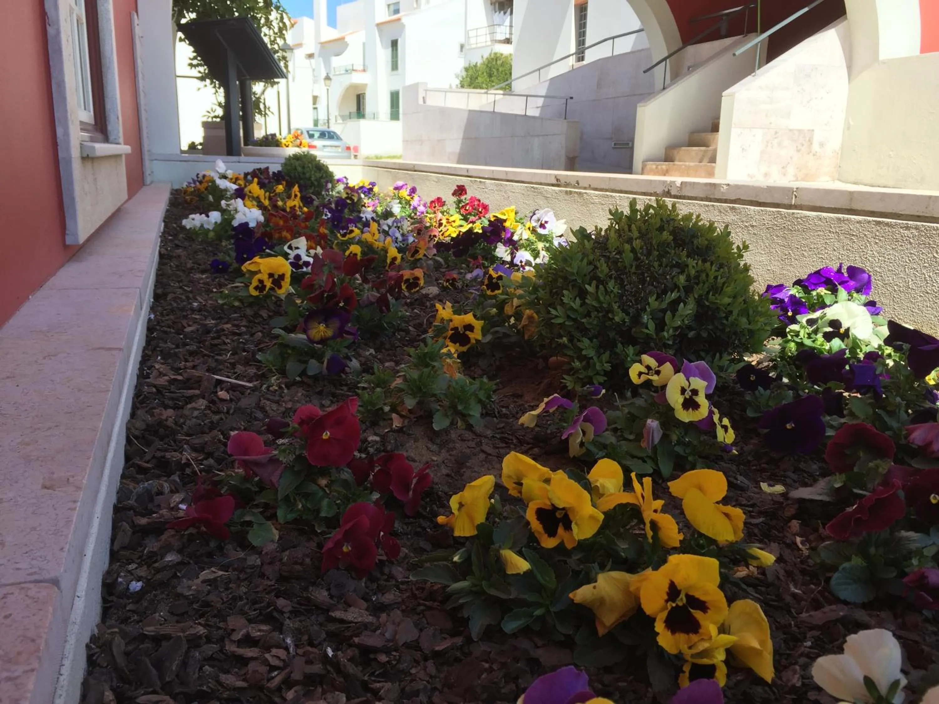 Garden in Casa do Médico de São Rafael