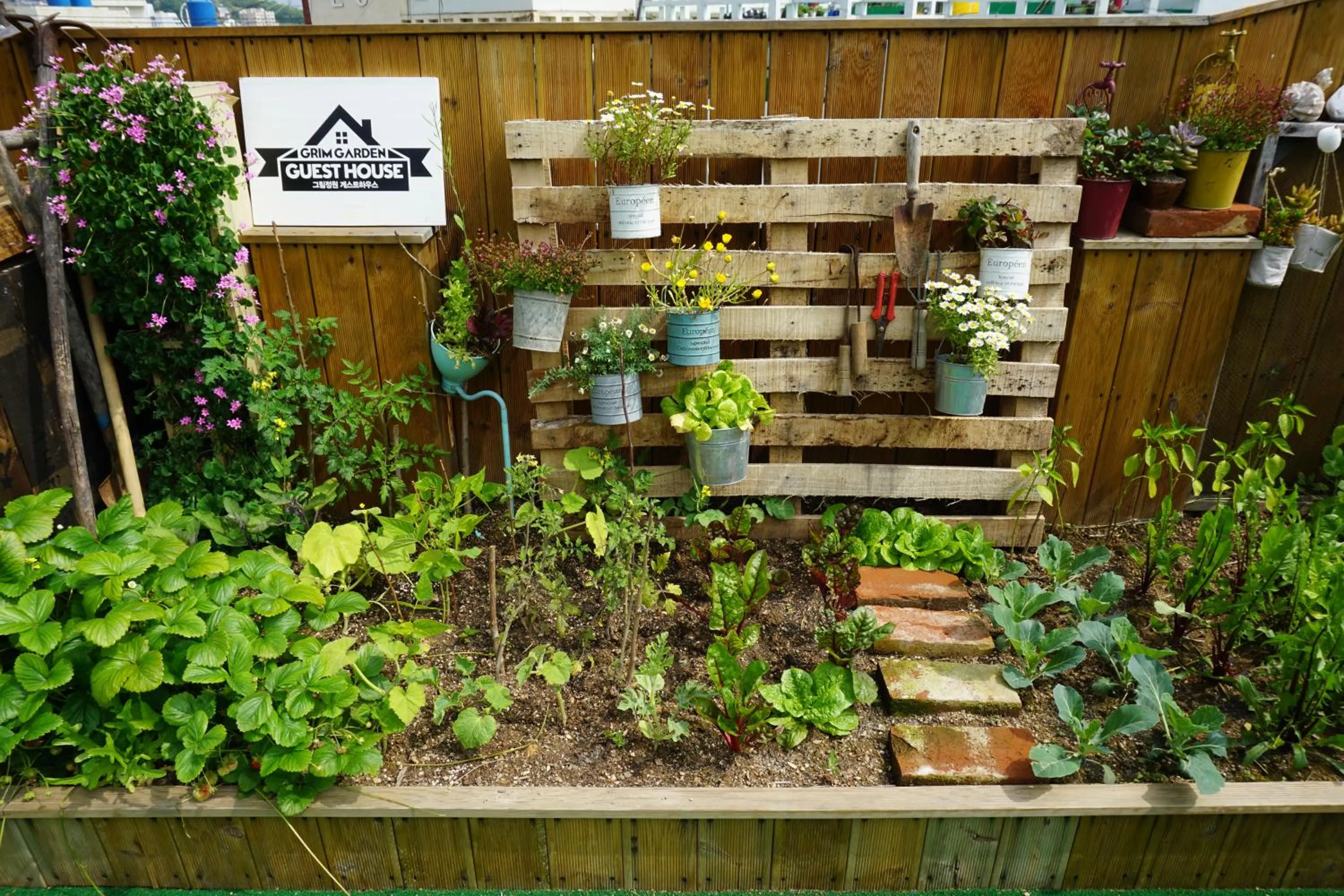 Garden in Grim Garden Guesthouse