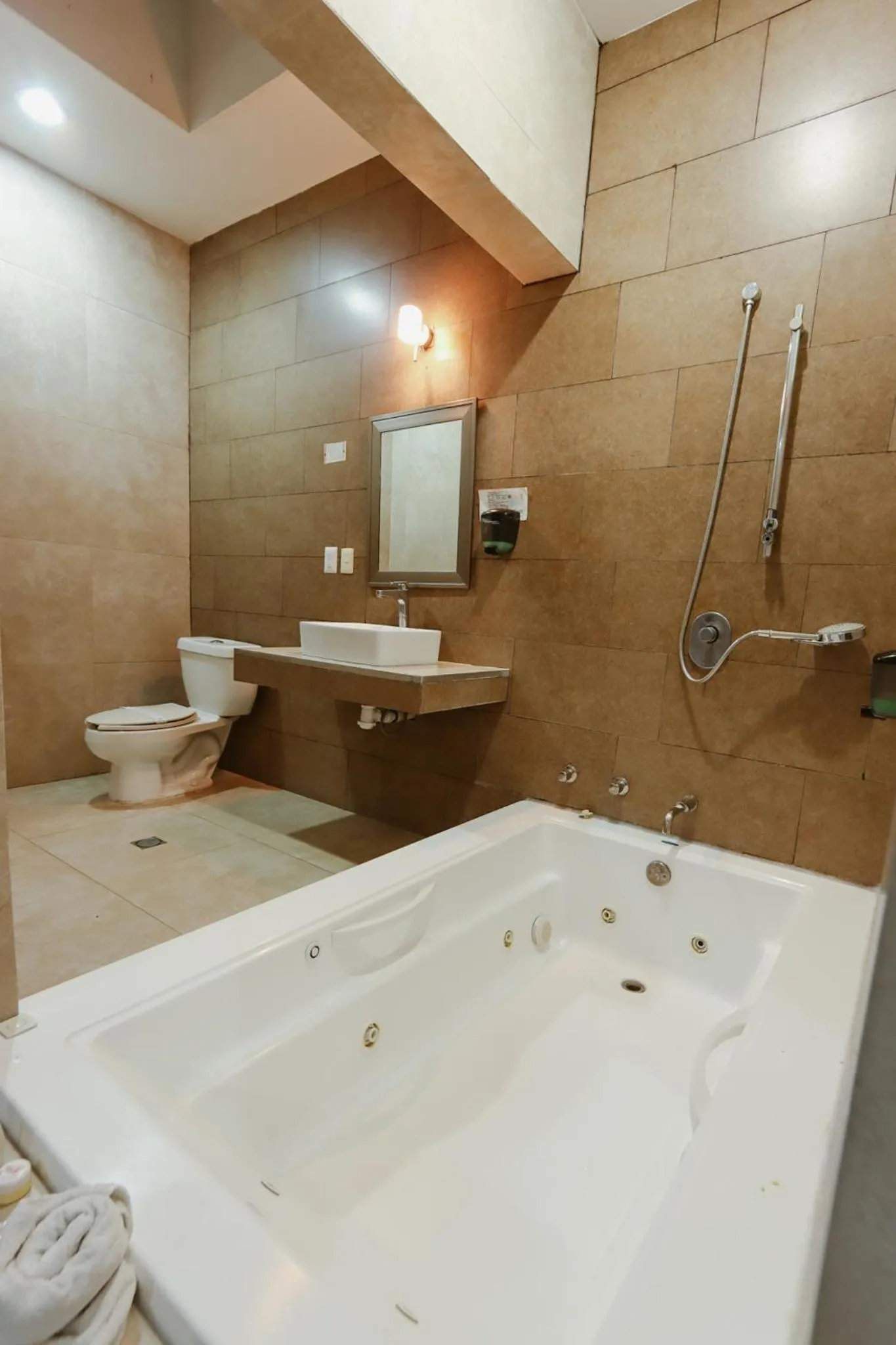 Toilet in Auto Hotel Las Maravillas