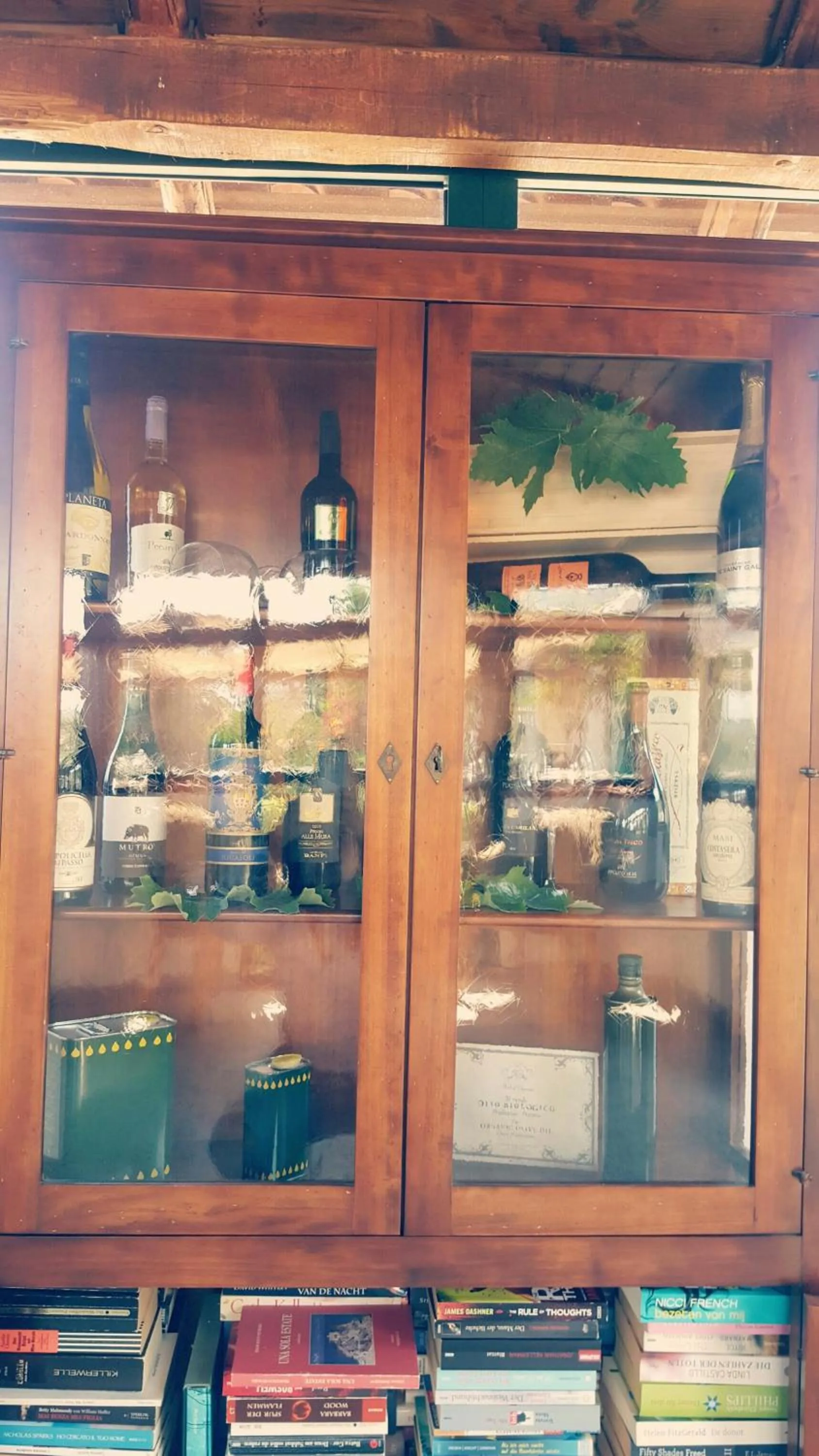 Library in Fonte Di Bagnaria