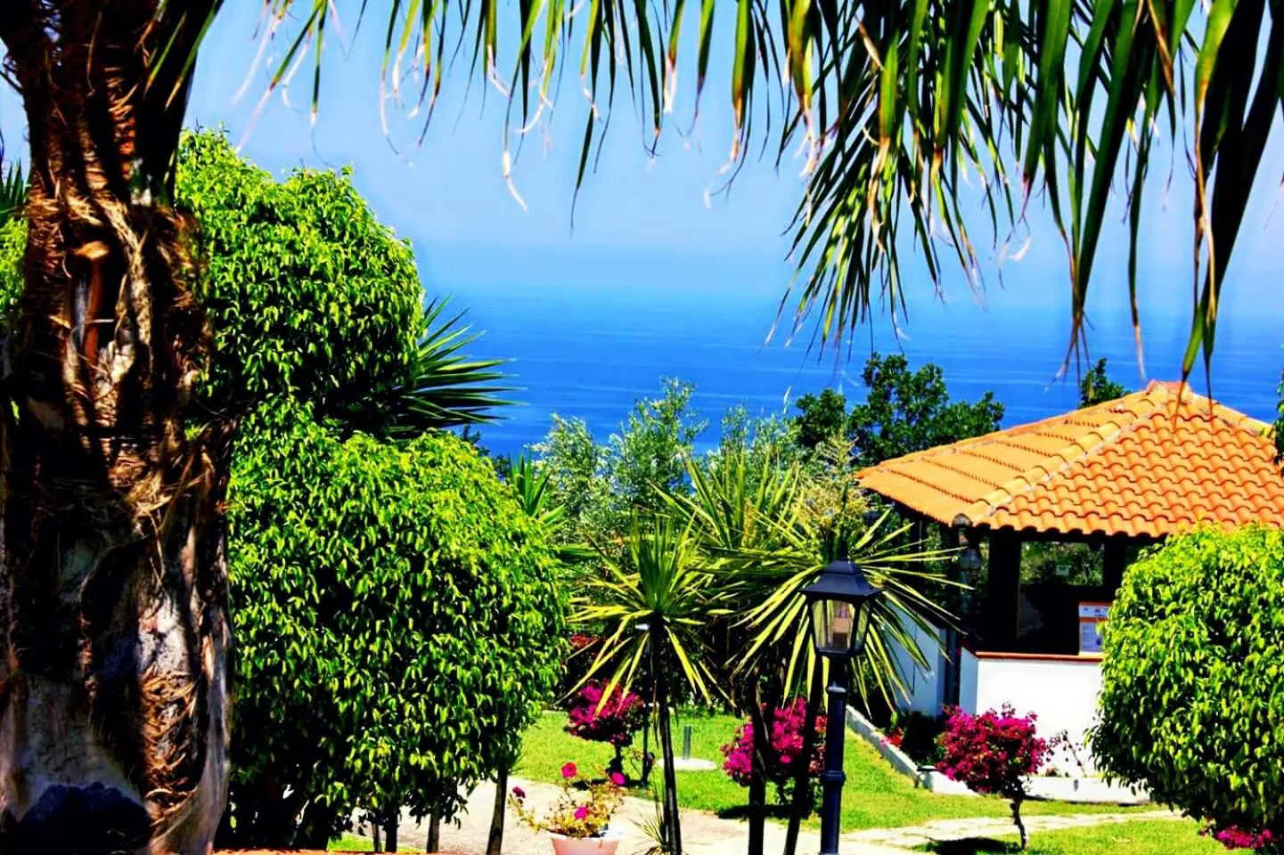 View (from property/room) in Fonte Di Bagnaria