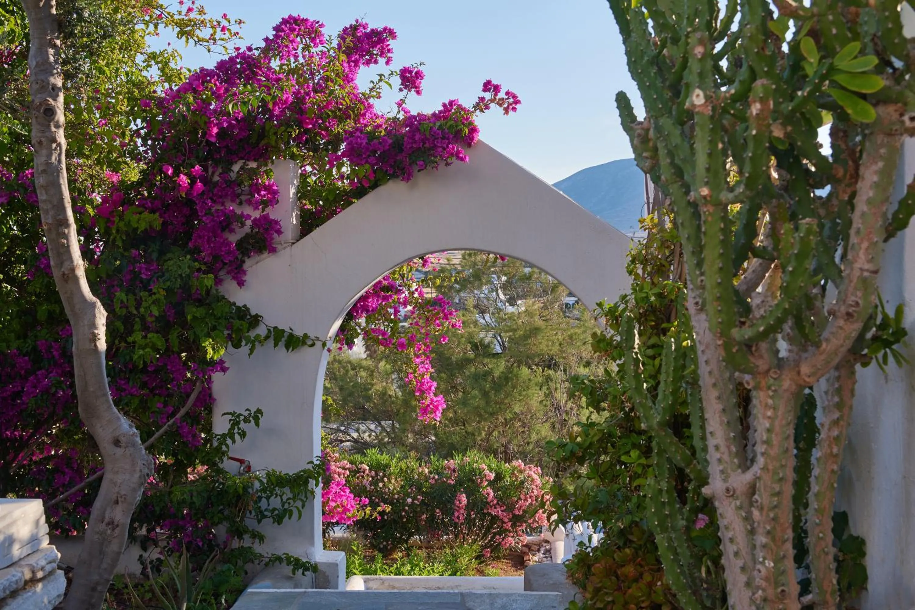Balcony/Terrace in Cleopatra Seaside Homes, Logaras, Paros