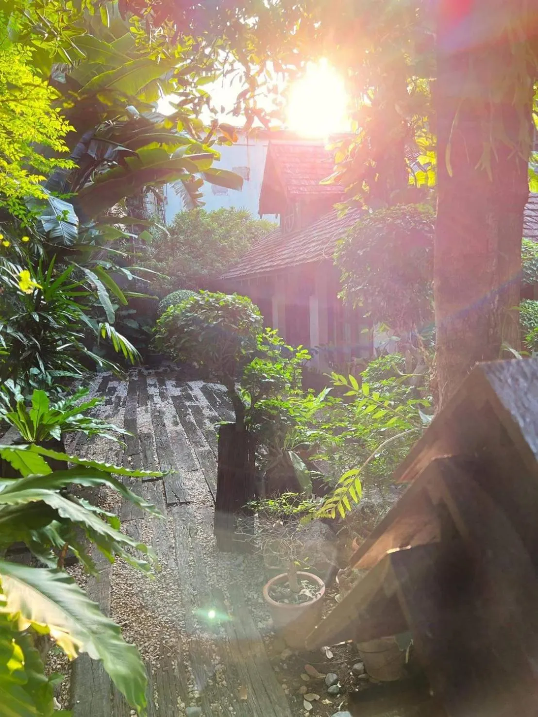 Garden in Wienglakor Hotel Lampang