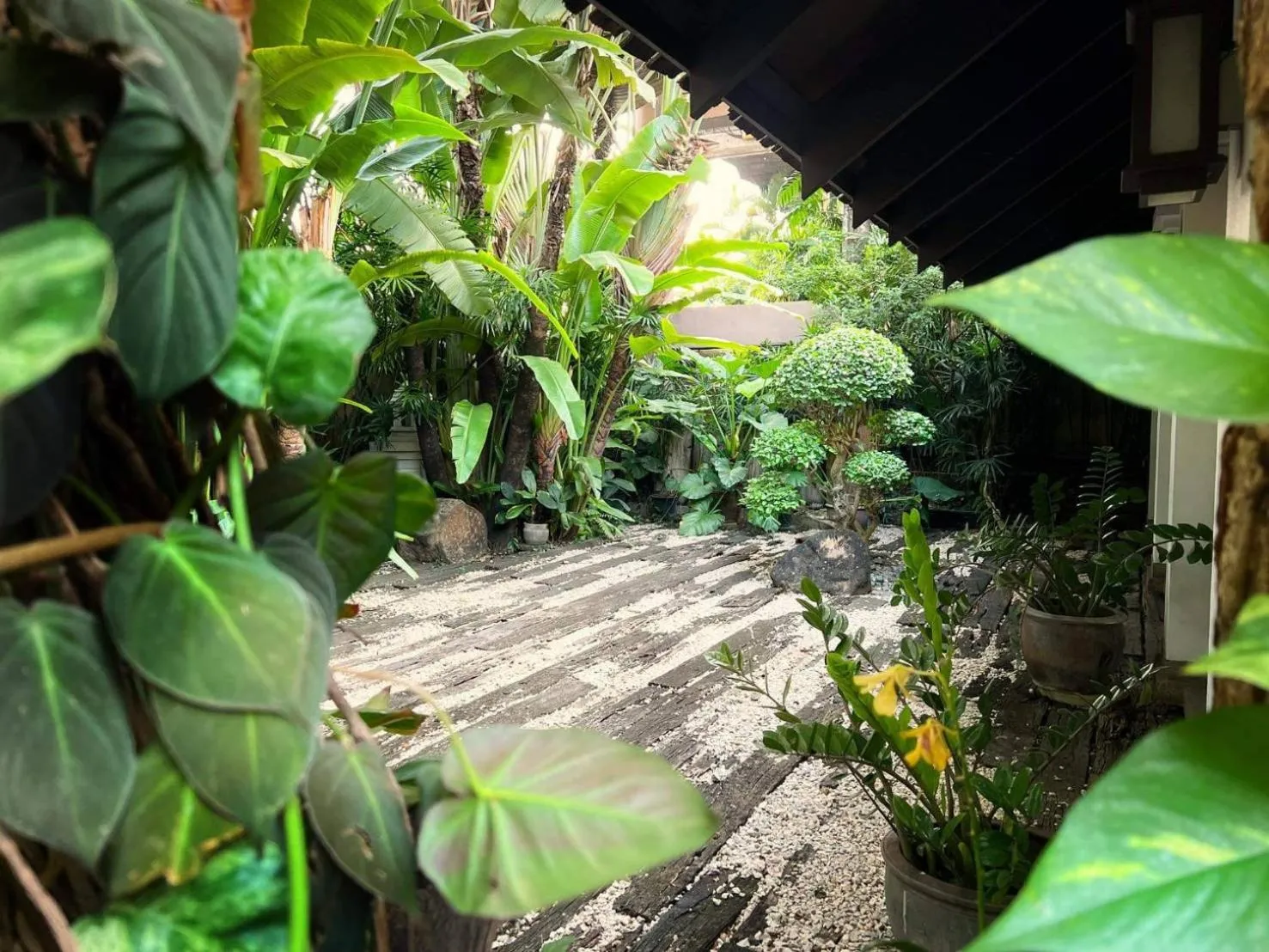 Garden in Wienglakor Hotel Lampang