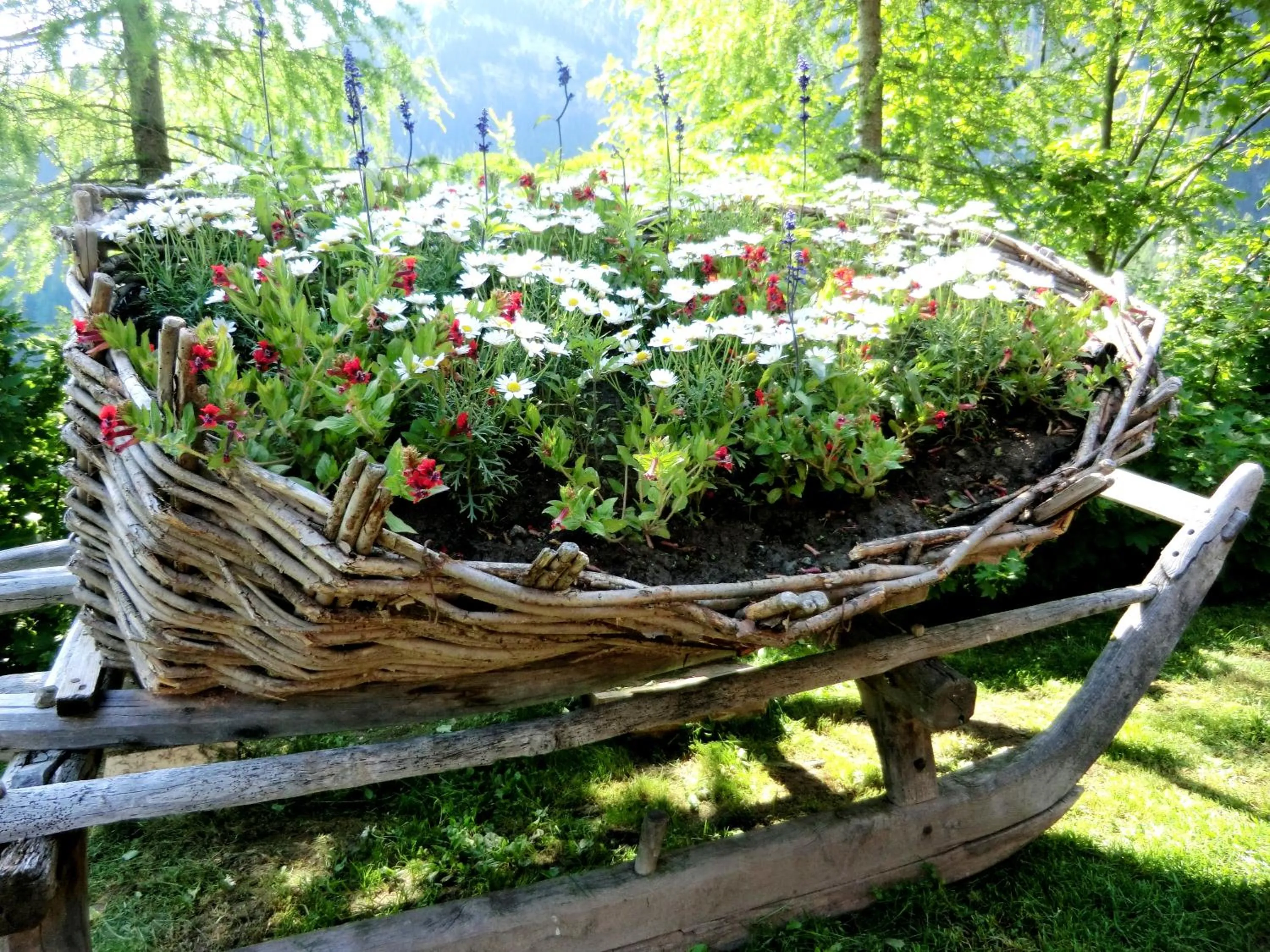 Garden in Charmehotel Uhrerhof - Deur