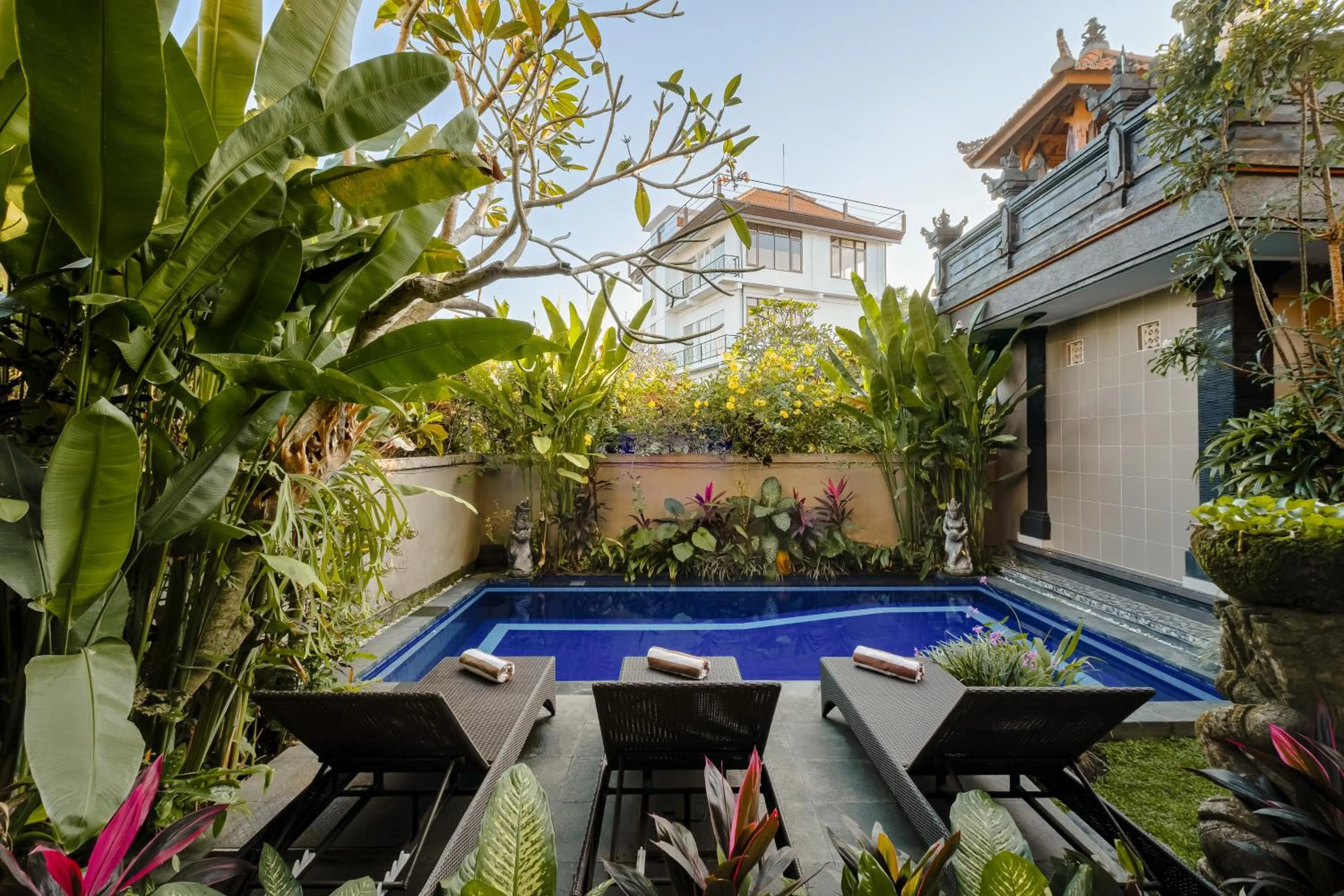 Swimming pool in Gora House Bali