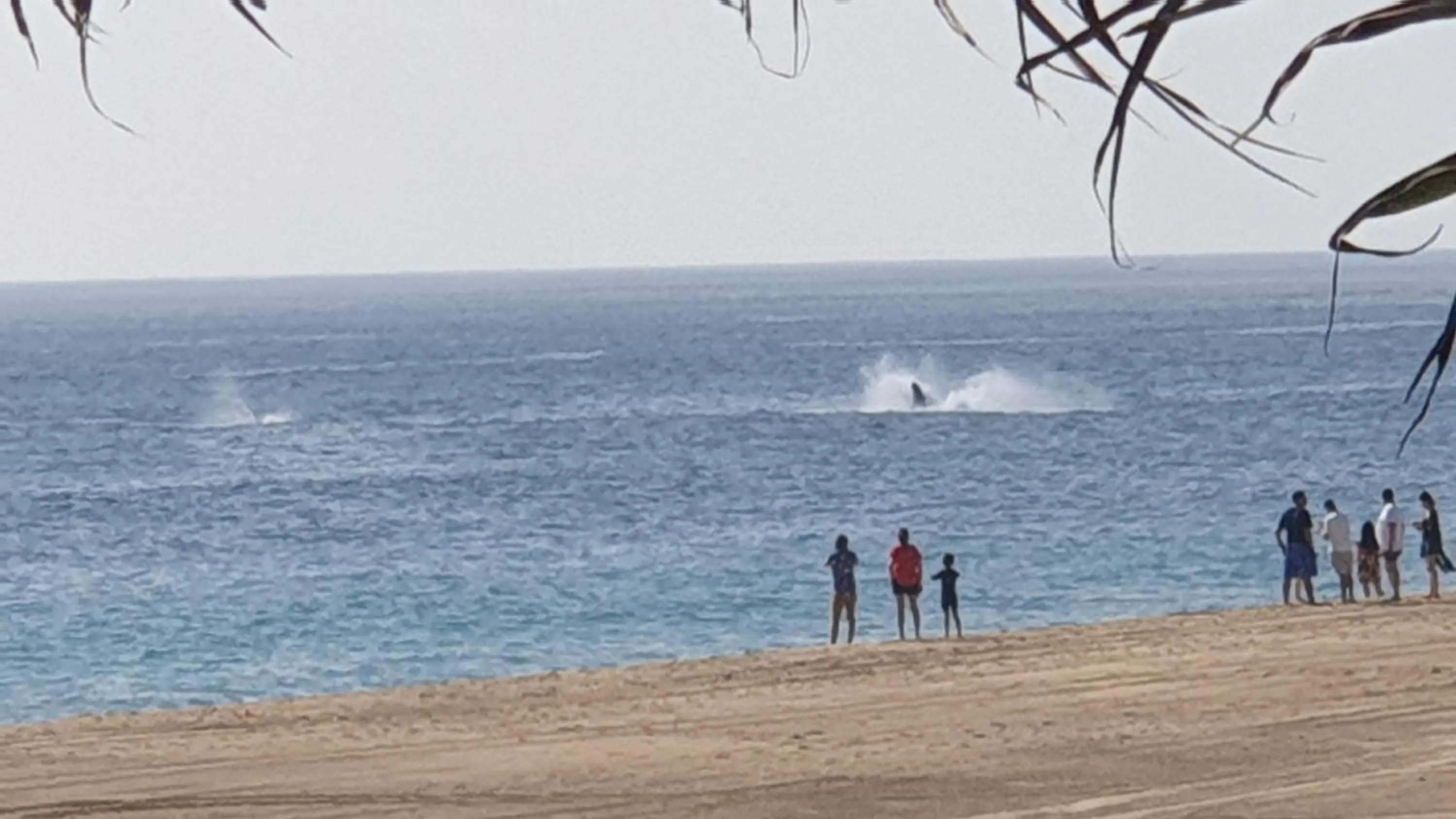 Beach in Villa Star of the Sea