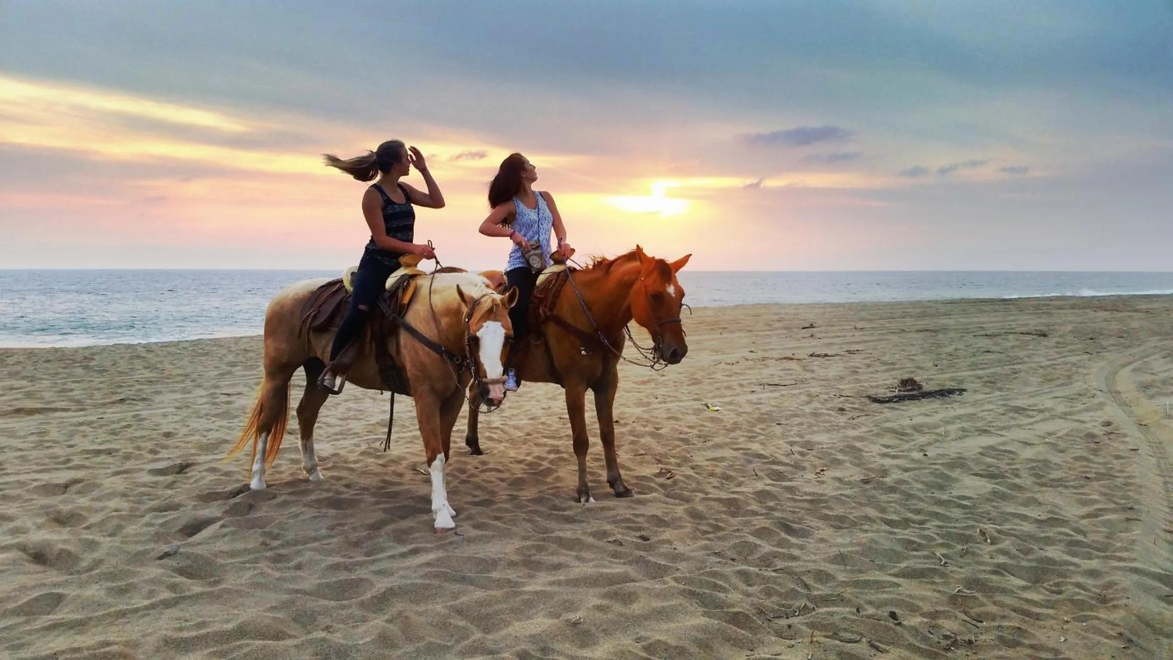 Horse-riding in Villa Star of the Sea