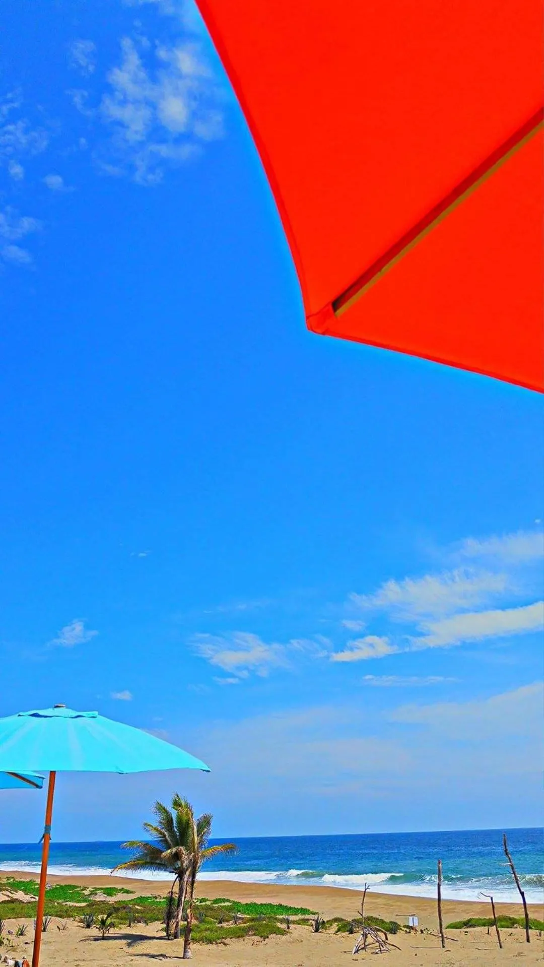 Restaurant/places to eat in Villa Star of the Sea