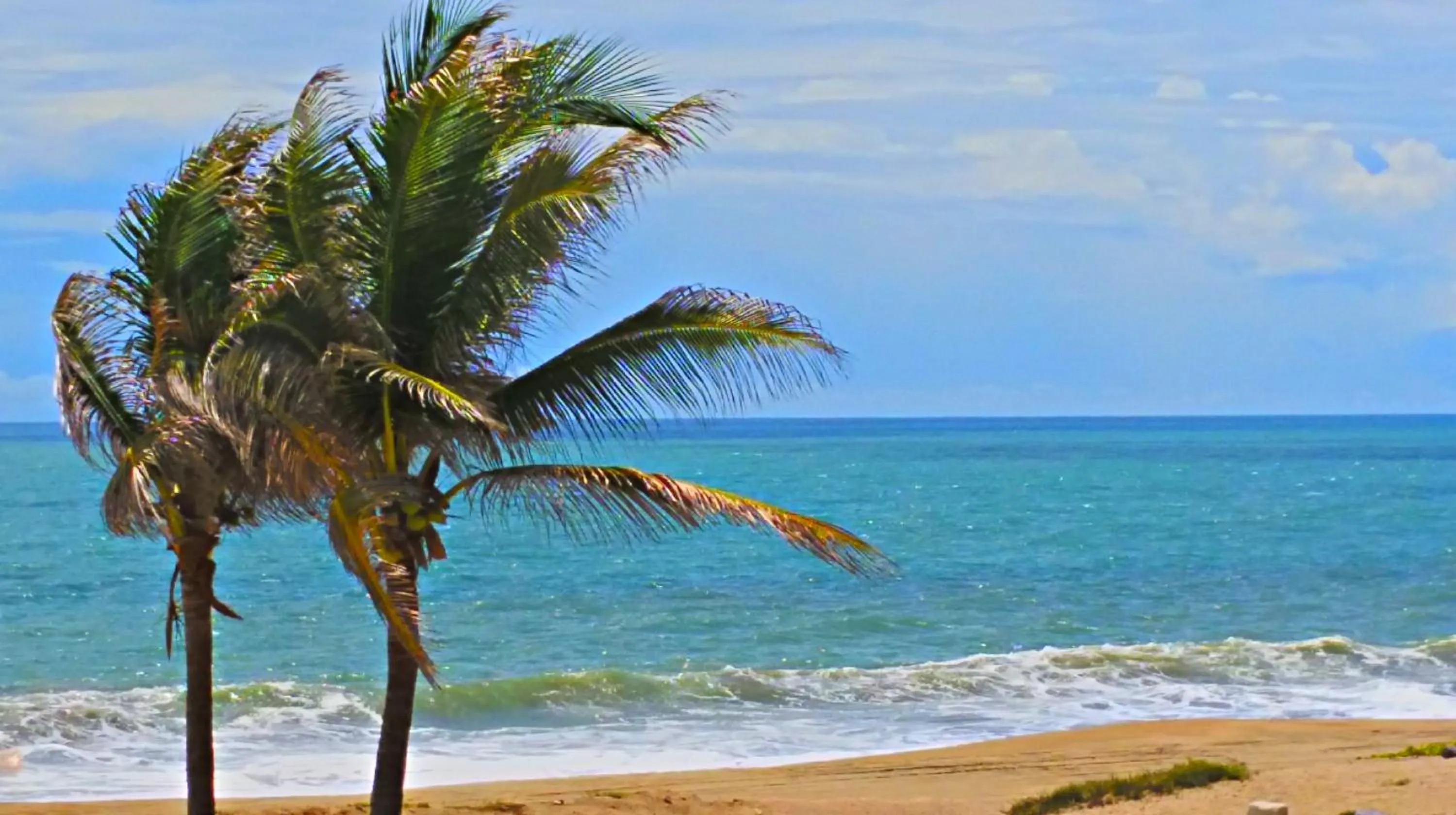 Natural landscape in Villa Star of the Sea