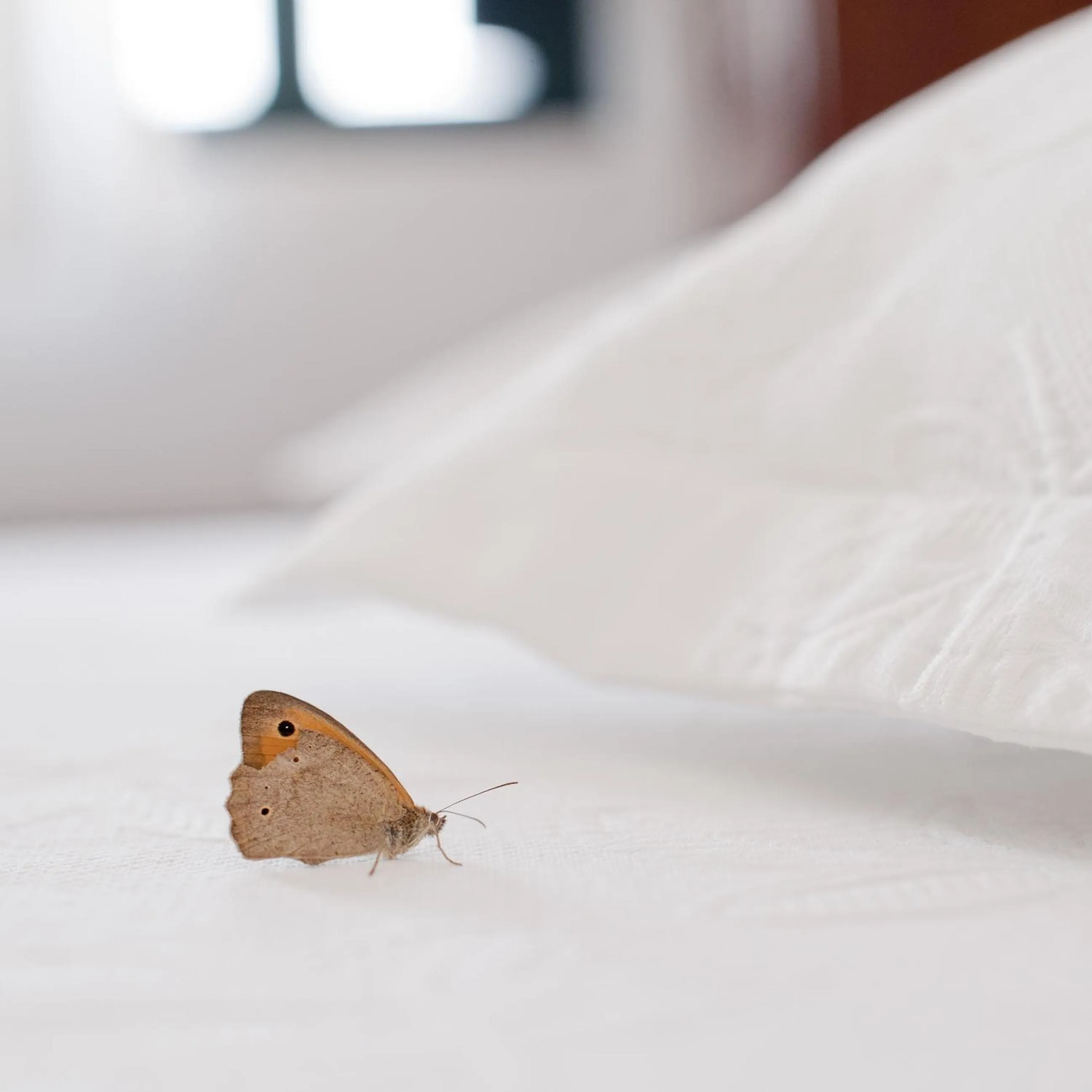 Other in Anthonas Apartments